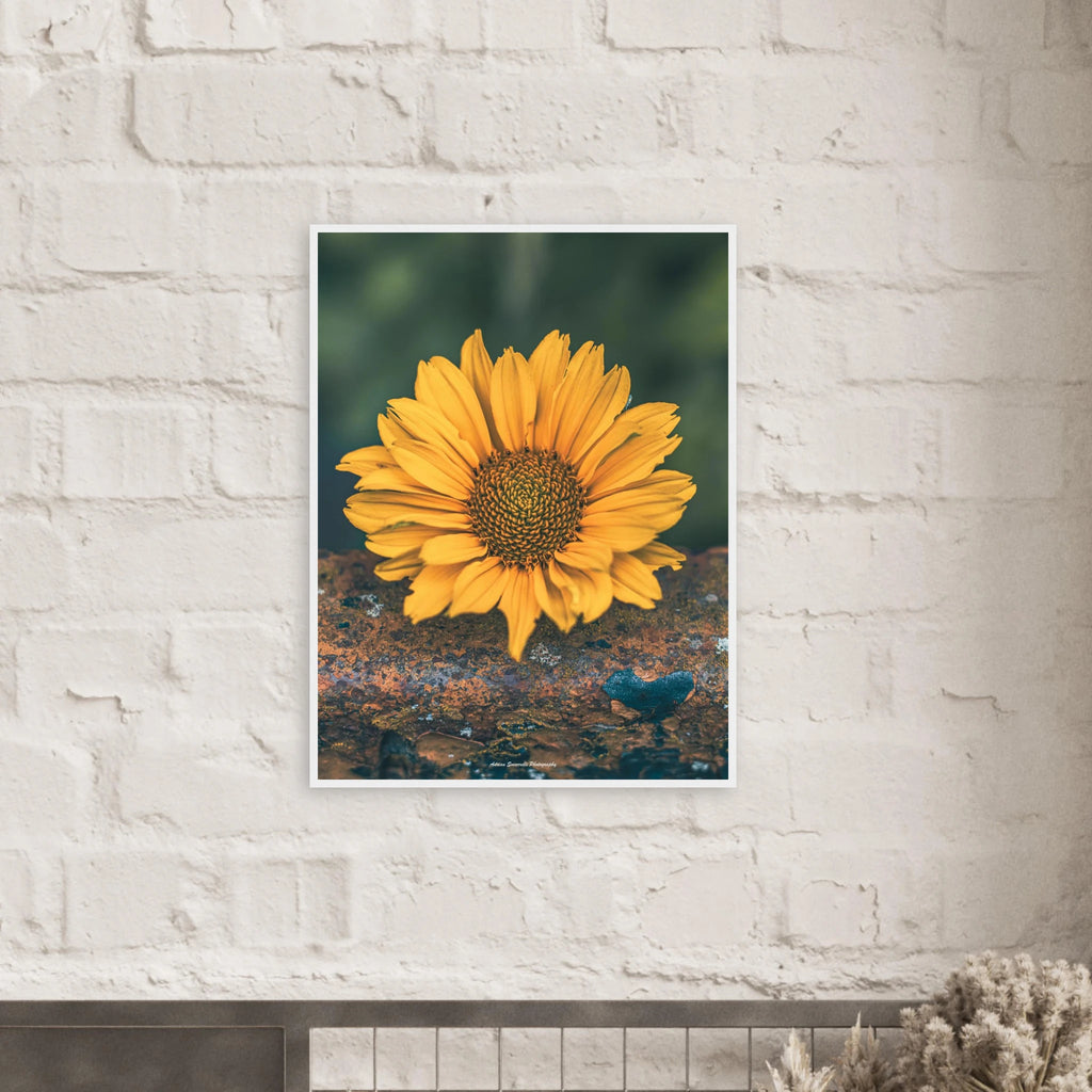 461f5c19-b331-408f-966c-aed0907a8404