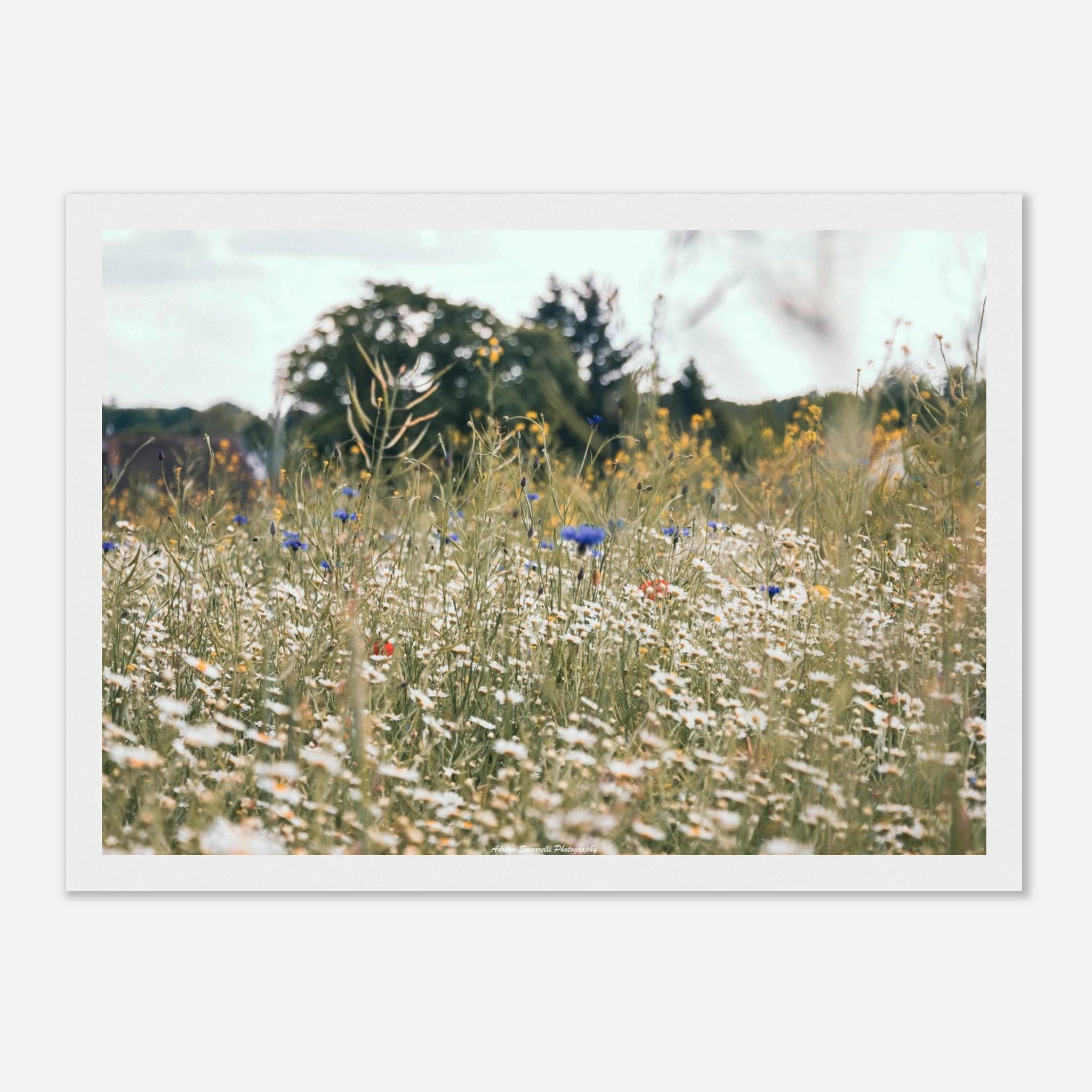 46740cd6-4567-4b49-9ef3-1ac006c2c5e9