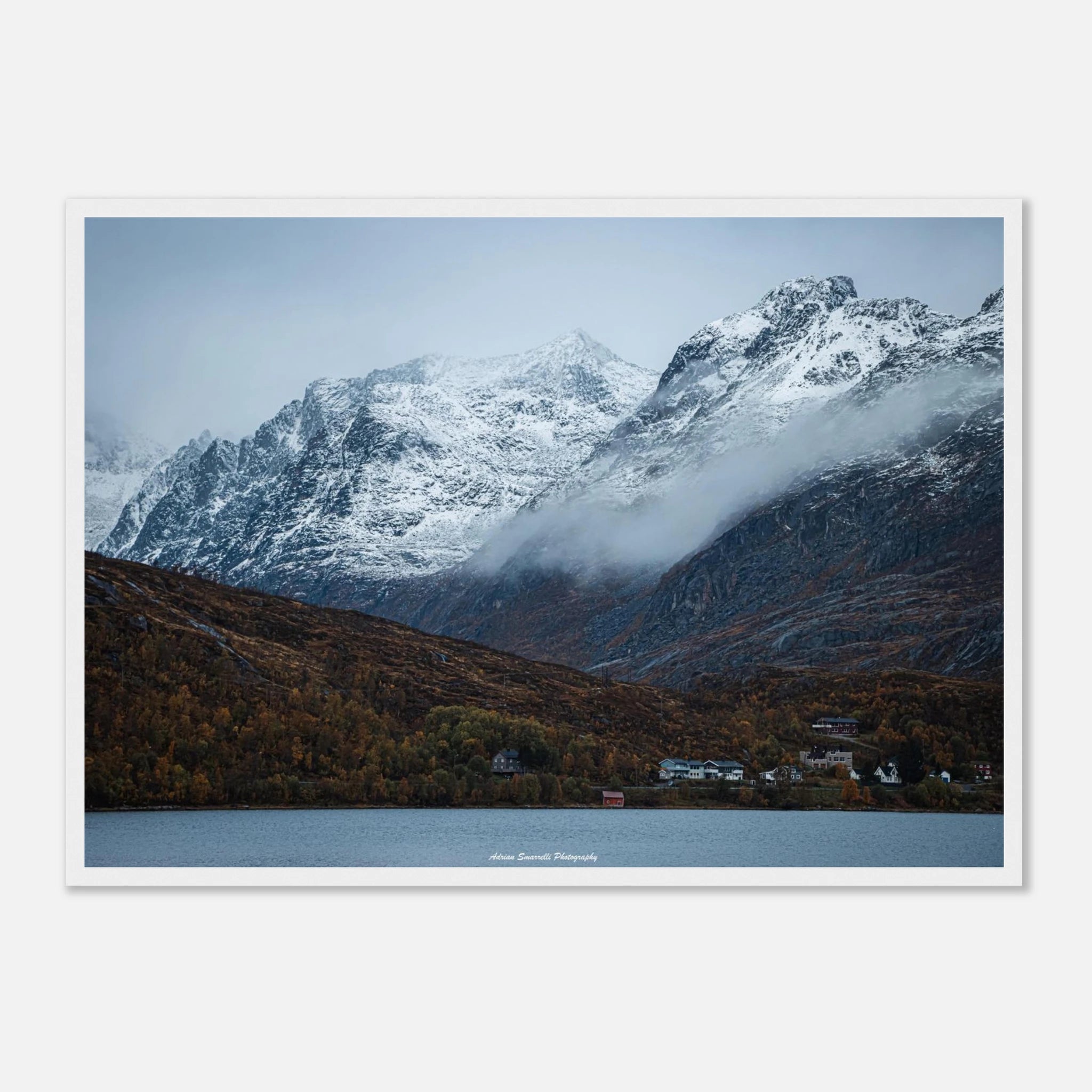 46b2f39a-0503-47d3-bbe7-3a9305554fff