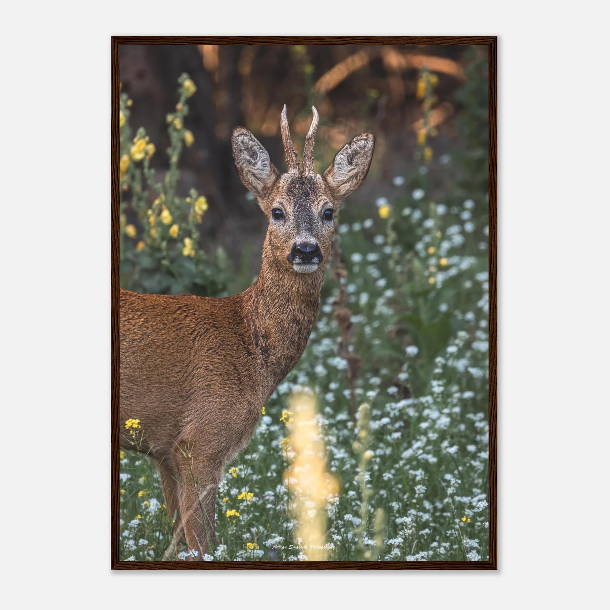 46e7eaf1-3bcf-4168-9fa6-49e69bbac539