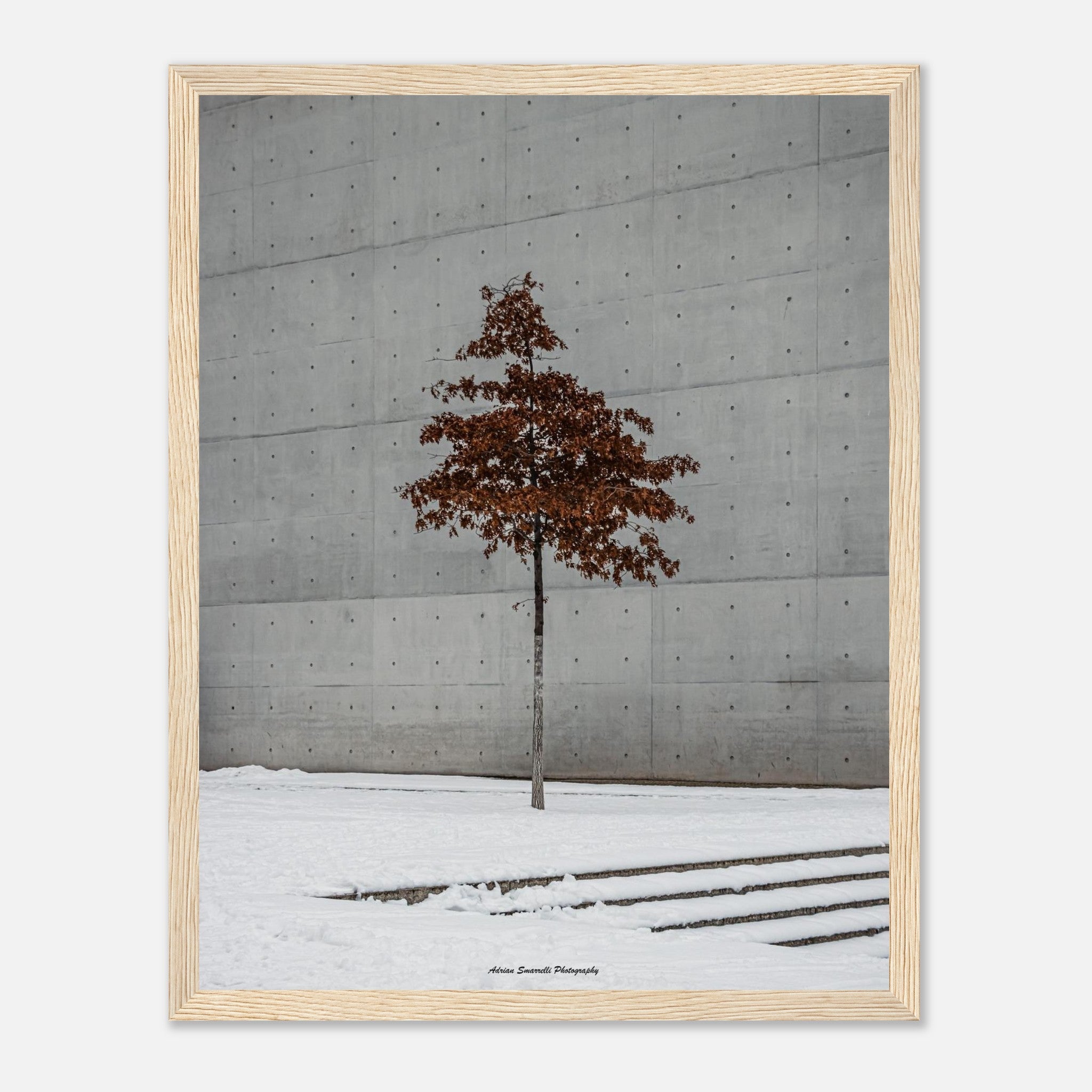 471ee147-5ea9-43c6-a742-8c1ae8cf4fd8