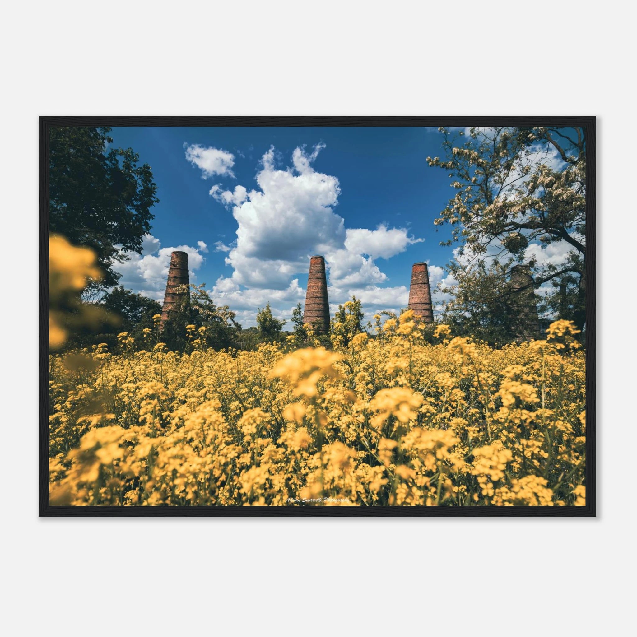 478af612-5d85-48d4-9623-4378283d7a53