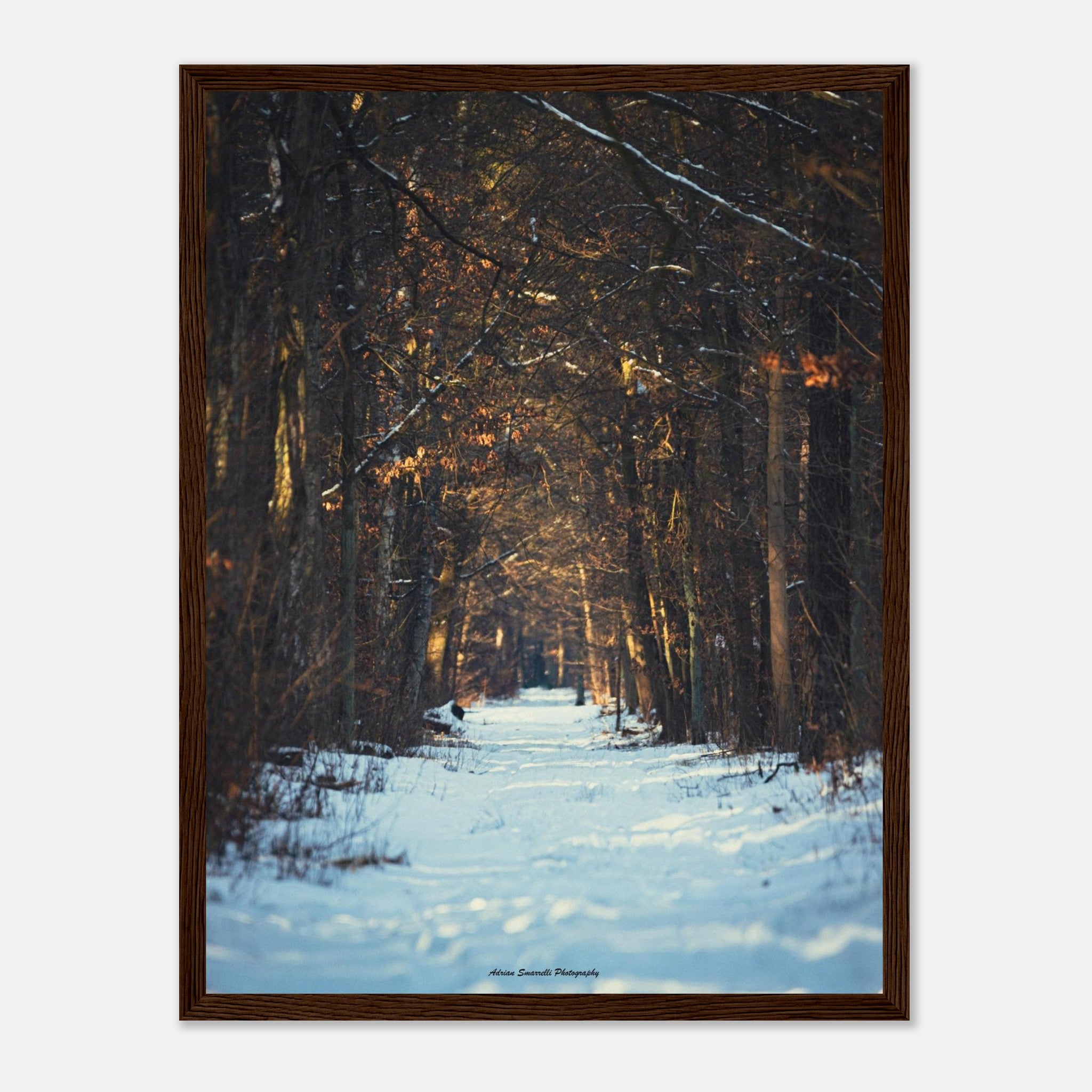 49fa95d1-17f7-435e-8898-b66a2e3a75fb