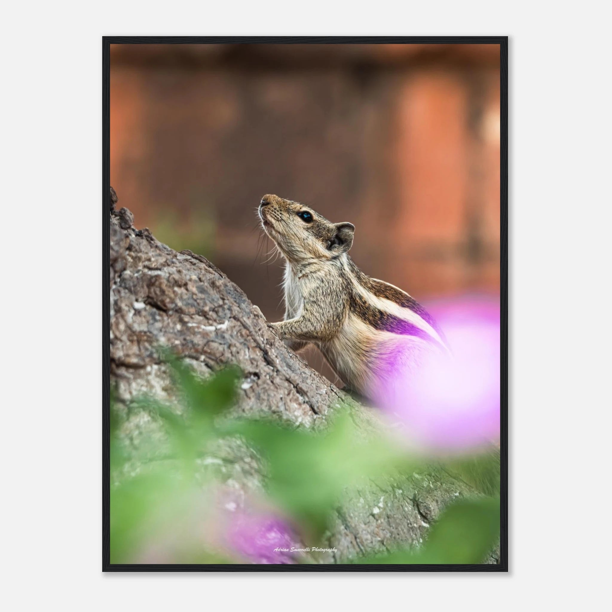 4a70ee0e-2a7d-4d1a-b91c-f182029f280f