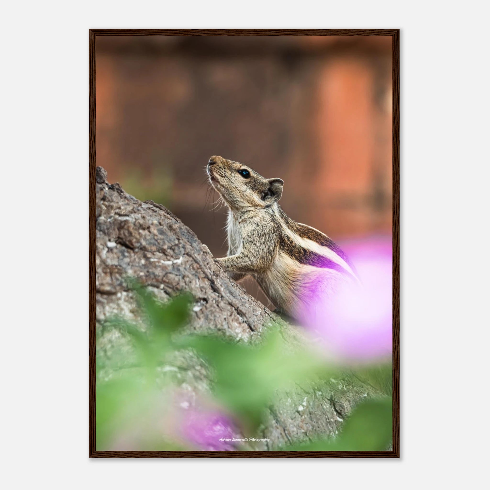 4af4476a-d33f-4759-af6c-e156f26ae581