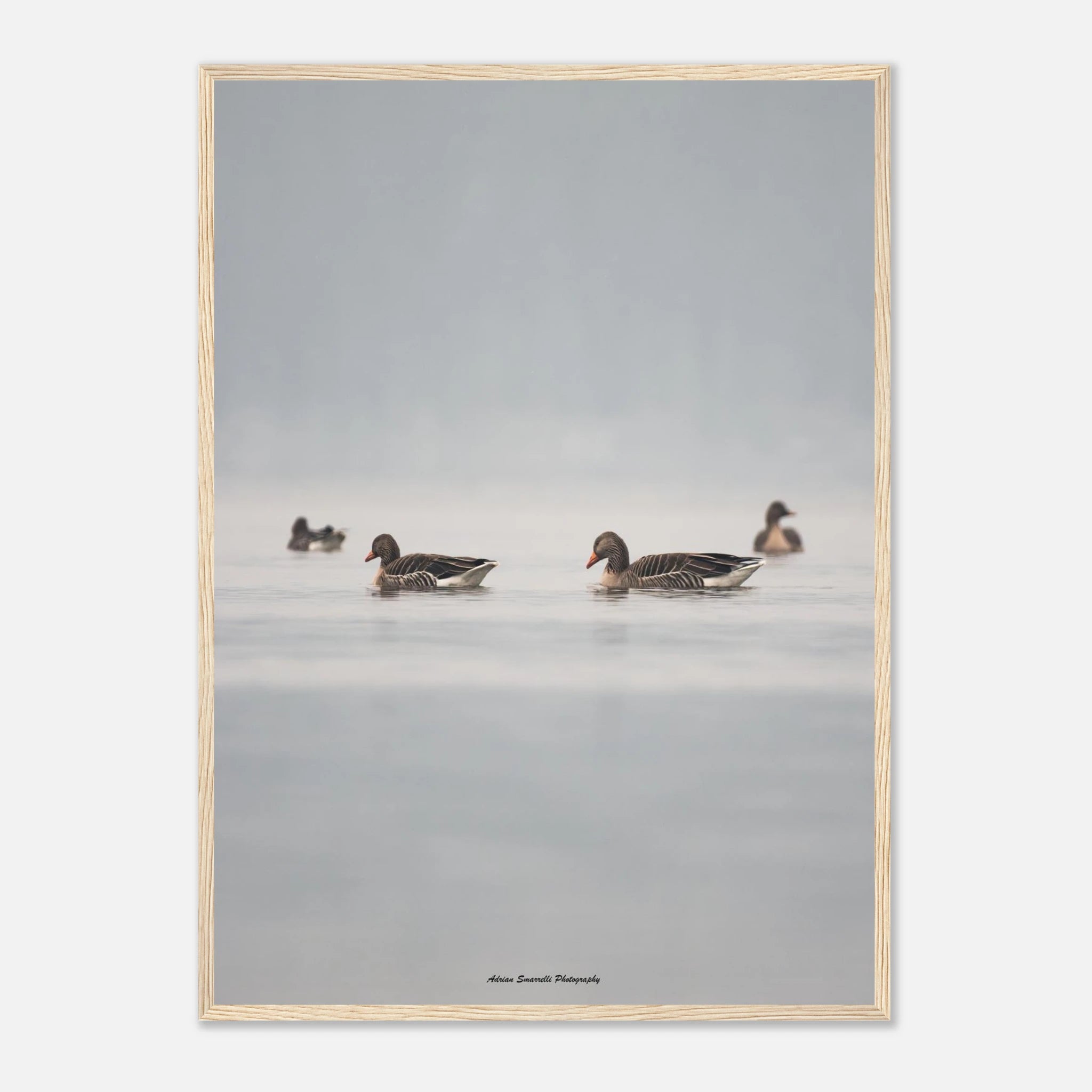 4d532e79-babf-4e02-9ba5-766a236f6524