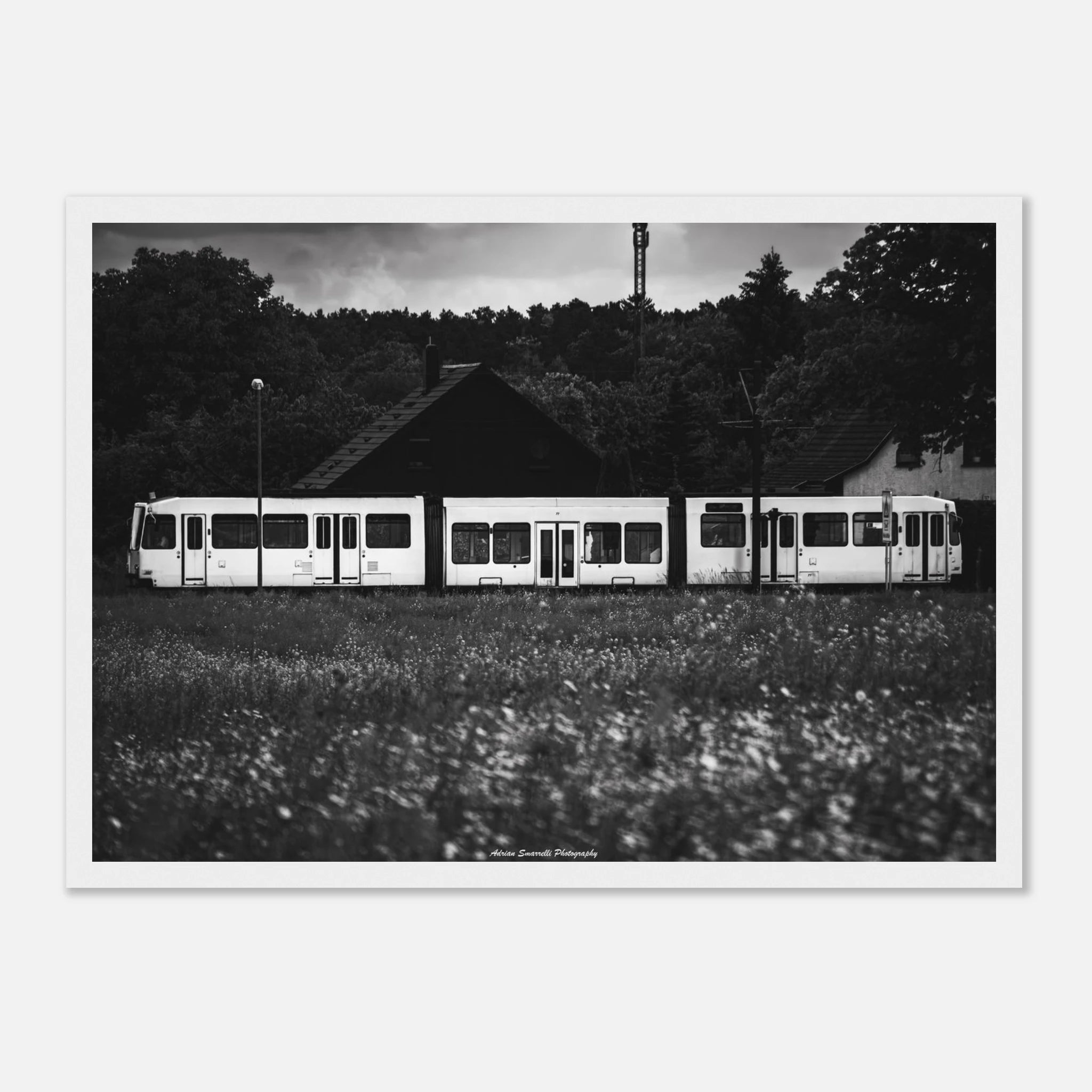 4d5a96a4-14e2-4962-8453-2addd9f928cf