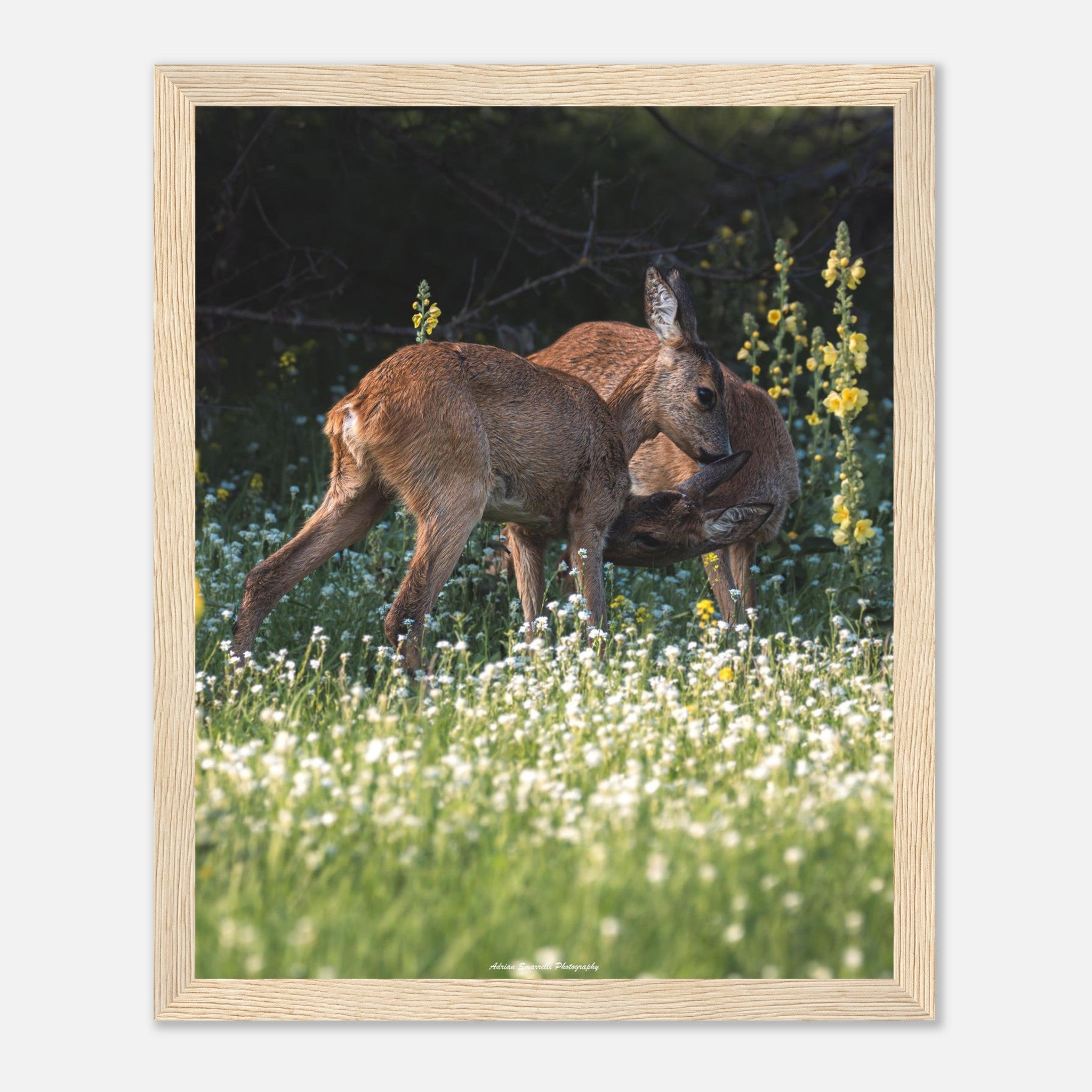 4d96e4b4-1ccf-4395-b411-2bb43932e1da