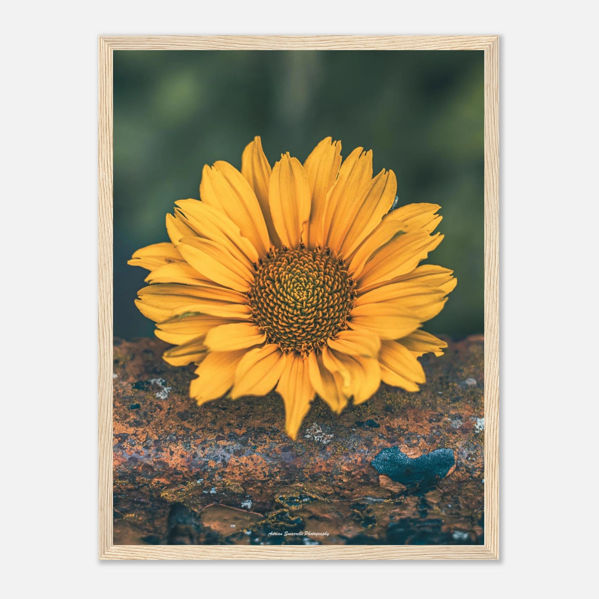 4dc781f0-b9c5-4891-8476-6fd73da44312