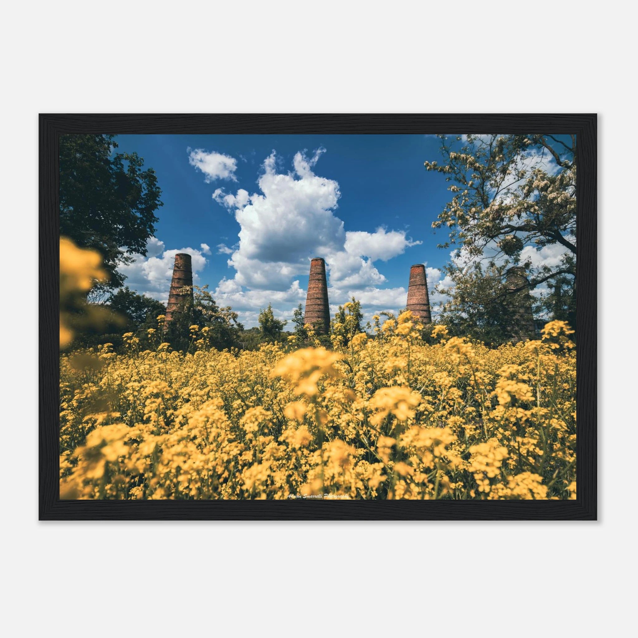 4e51585a-8334-489e-b08d-b73ab24b9c66