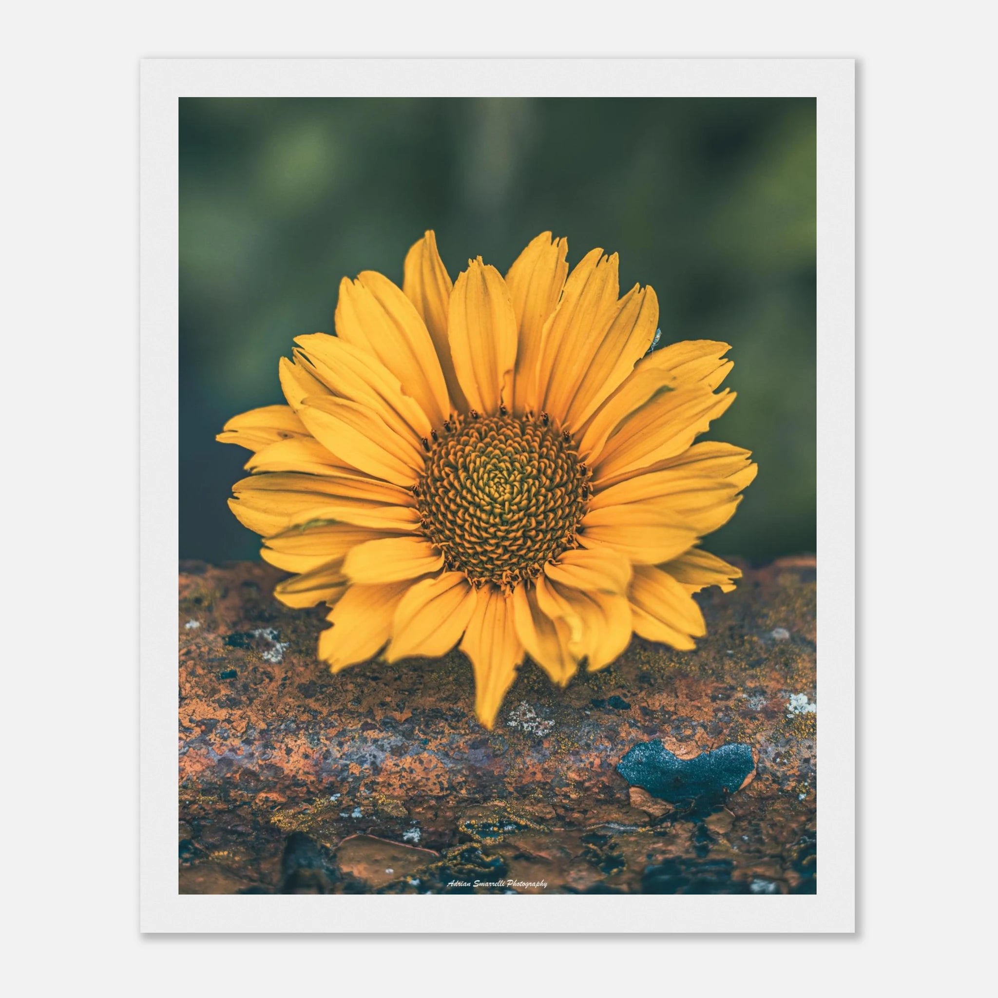 501e78b3-6c4f-412a-9052-d40fa8715f15