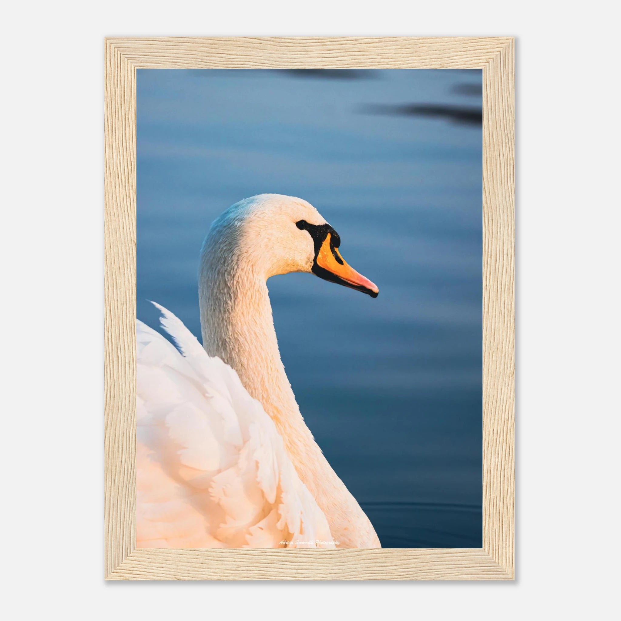 50437f97-88bb-46ba-aae9-3ea22e9ac8bd