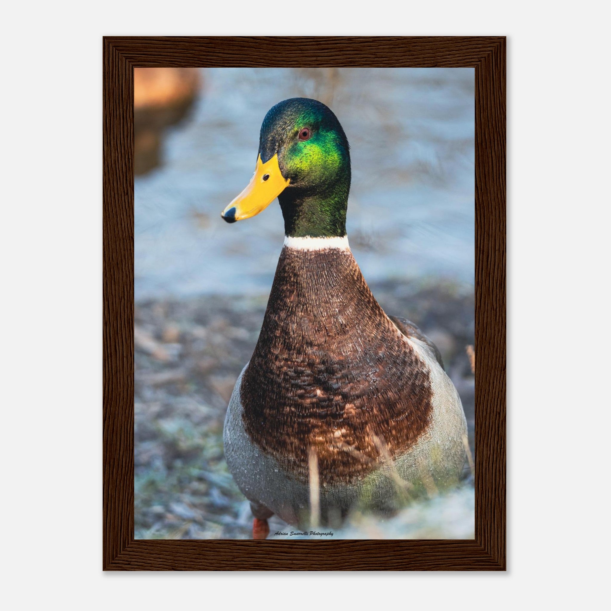 50b00a7d-8b27-4768-8b8f-c07f7d244997