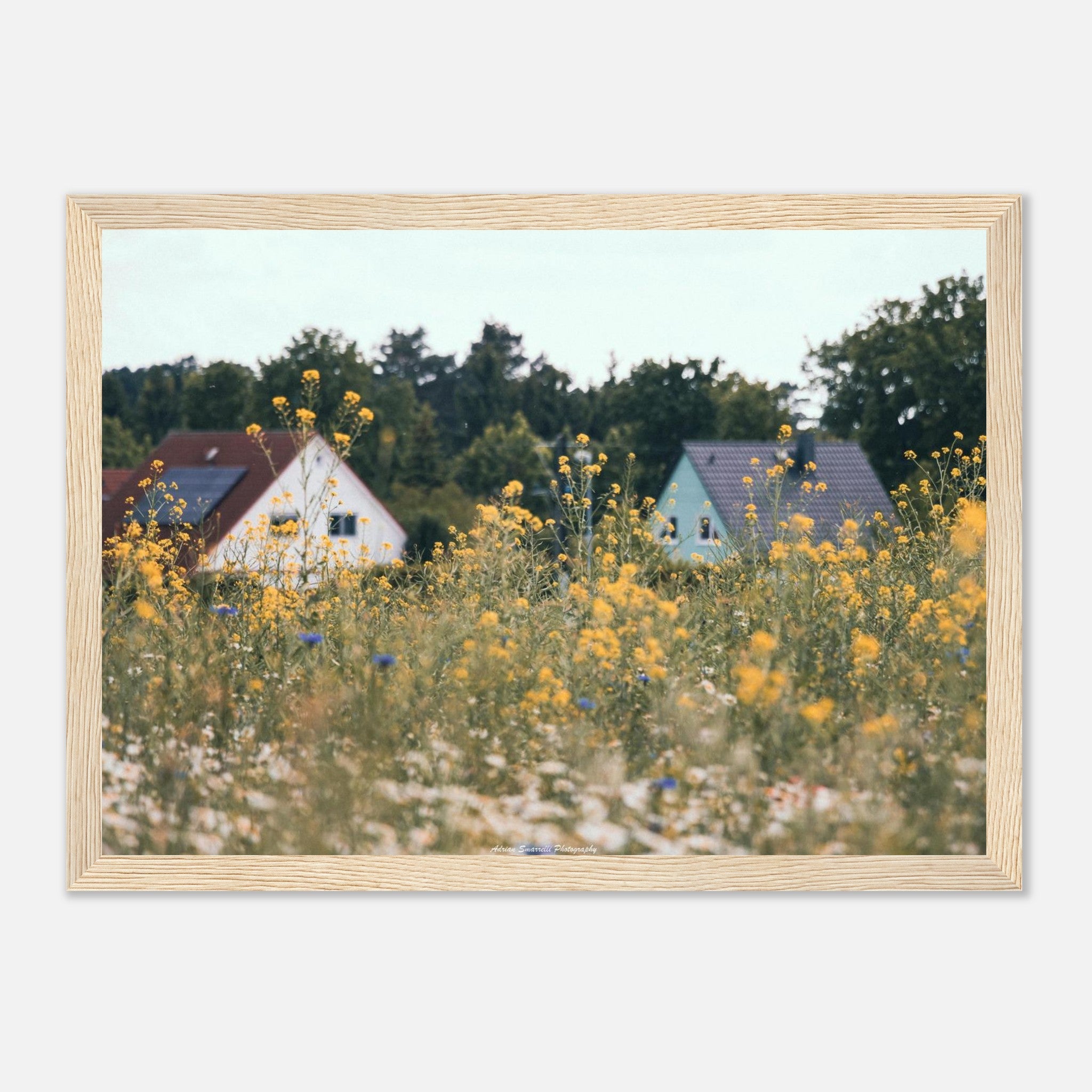 50dcc4ce-5e86-444f-b7f2-0c13d02669f4