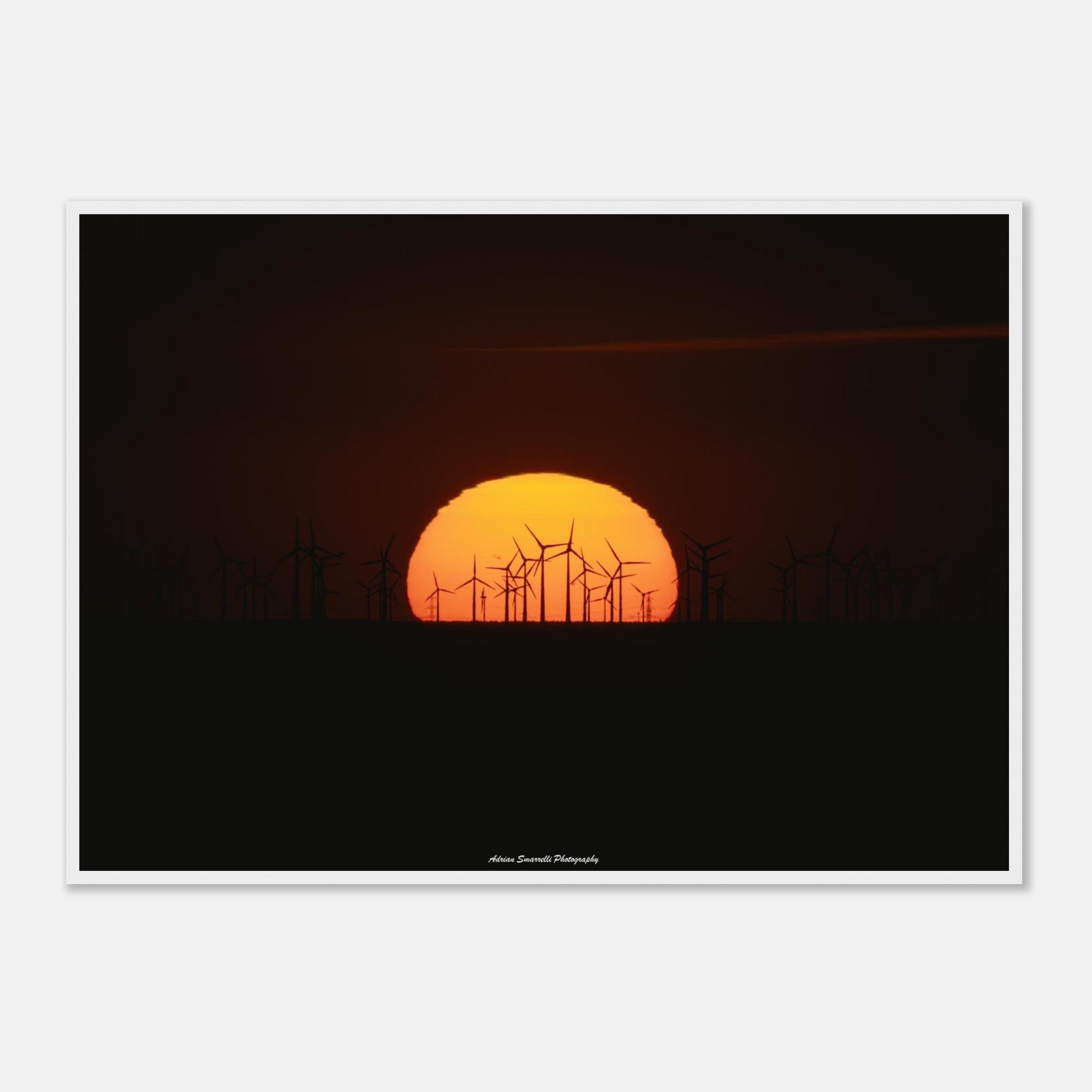 50e3b373-833f-47e9-b6d2-eb1e1a12d720