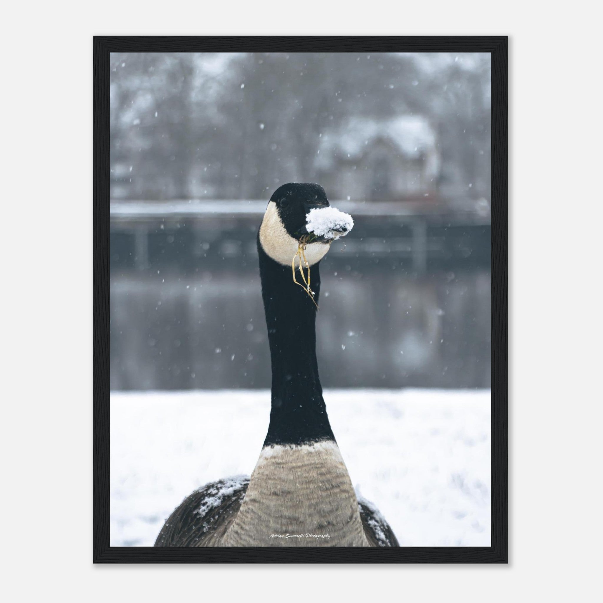 5255dc3e-57da-4c3f-9cc9-250c954e4996