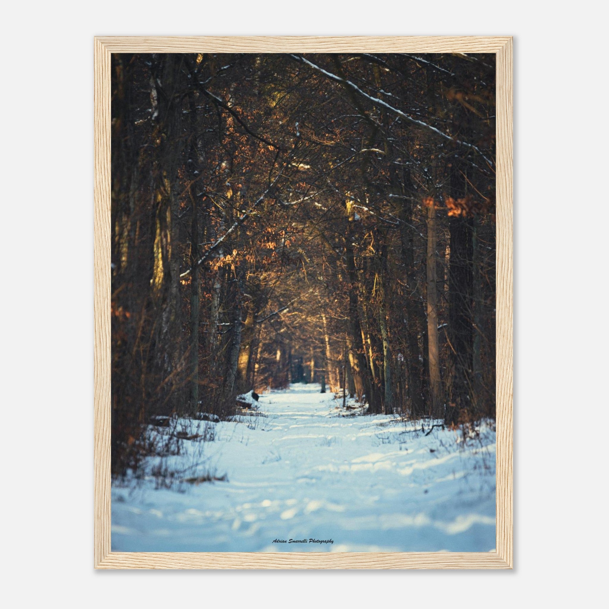 5290269e-6d72-4c76-b0e3-fd2474899562