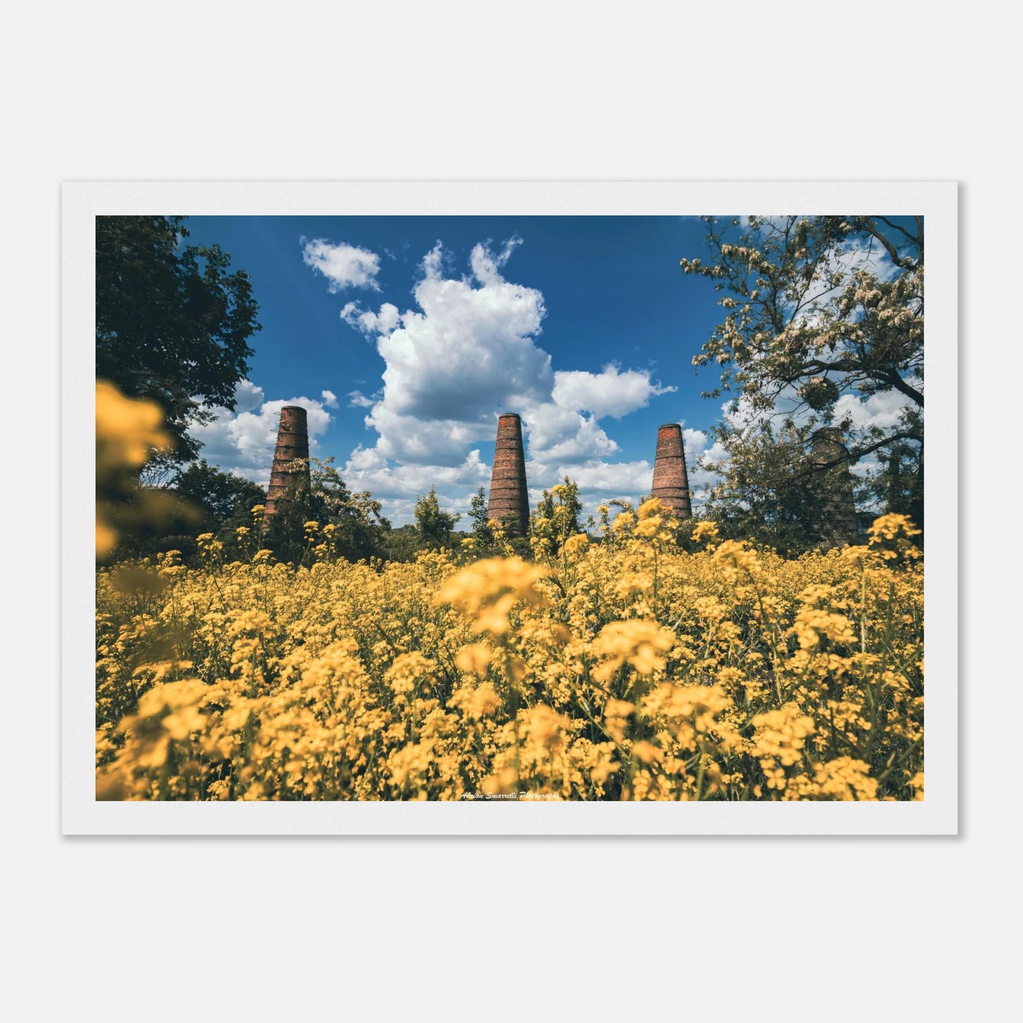 52b52158-a1c0-4b5e-a566-9cf780157d72