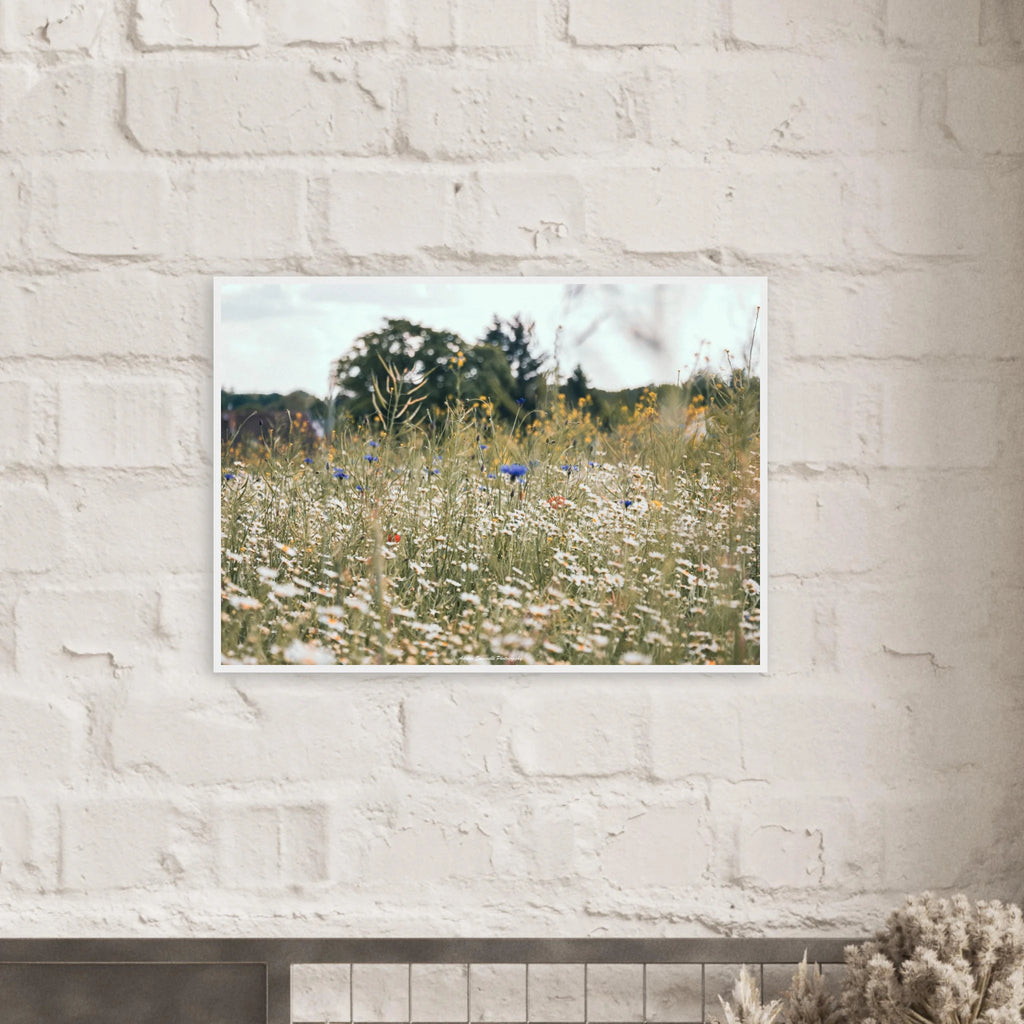 52fe7866-1192-4b00-acda-703da10ac6f5