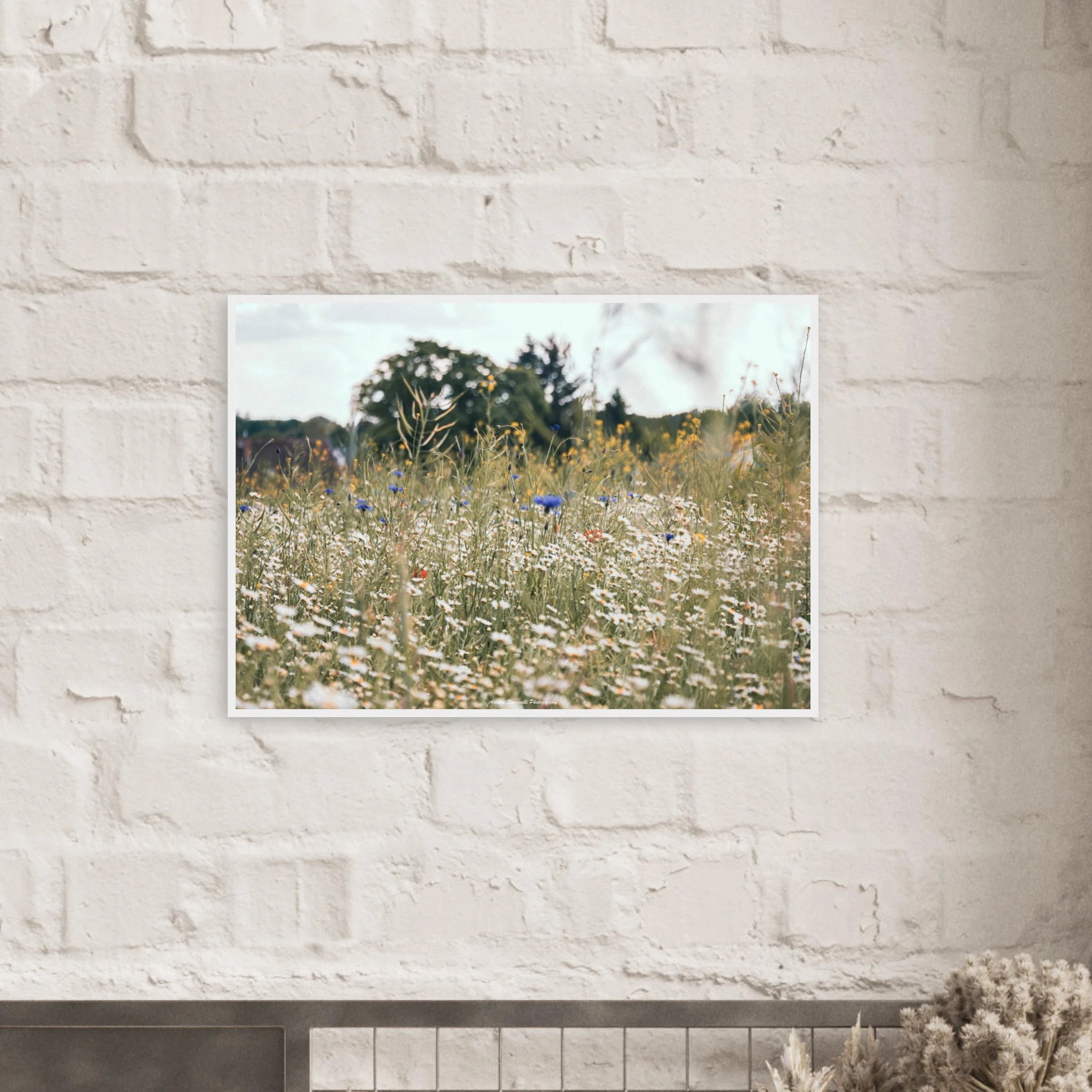 52fe7866-1192-4b00-acda-703da10ac6f5