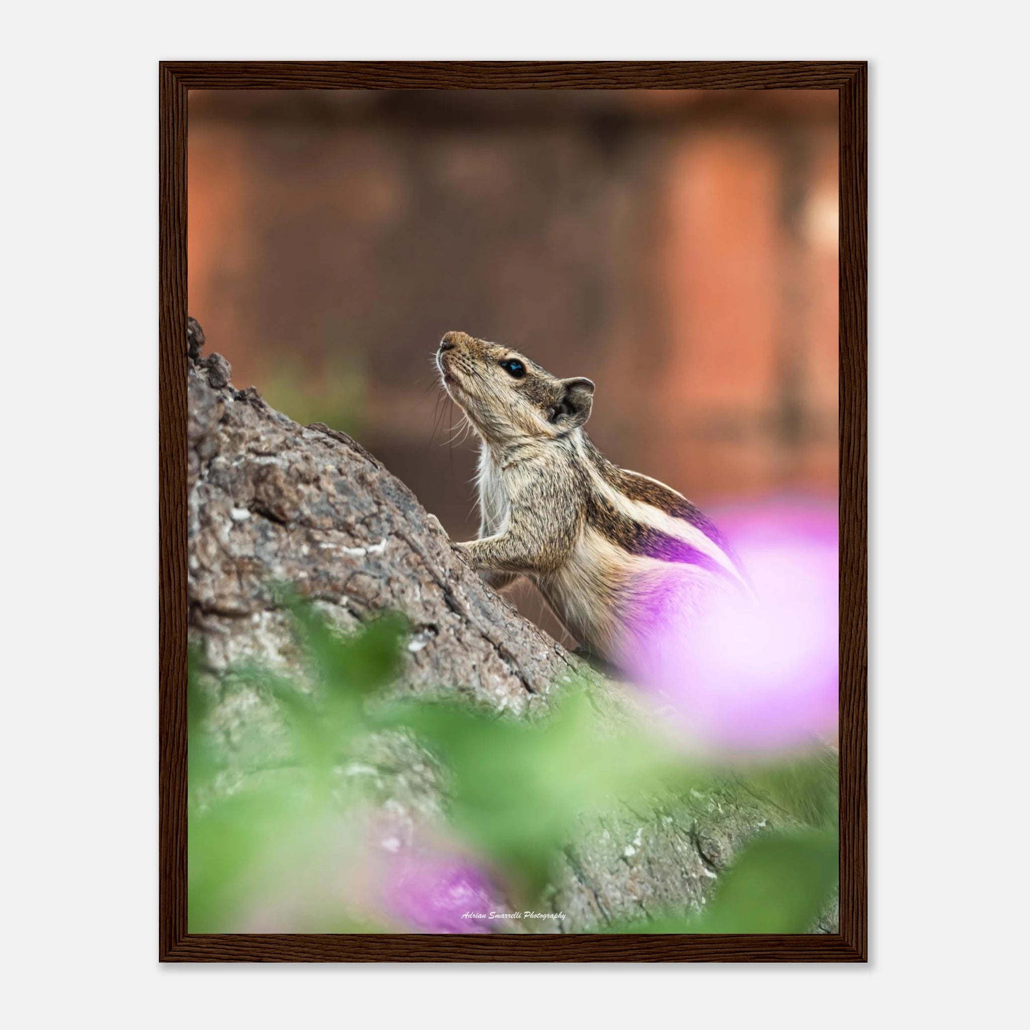 535c9602-43a3-47f8-9ca7-a1c36fcf0d2d