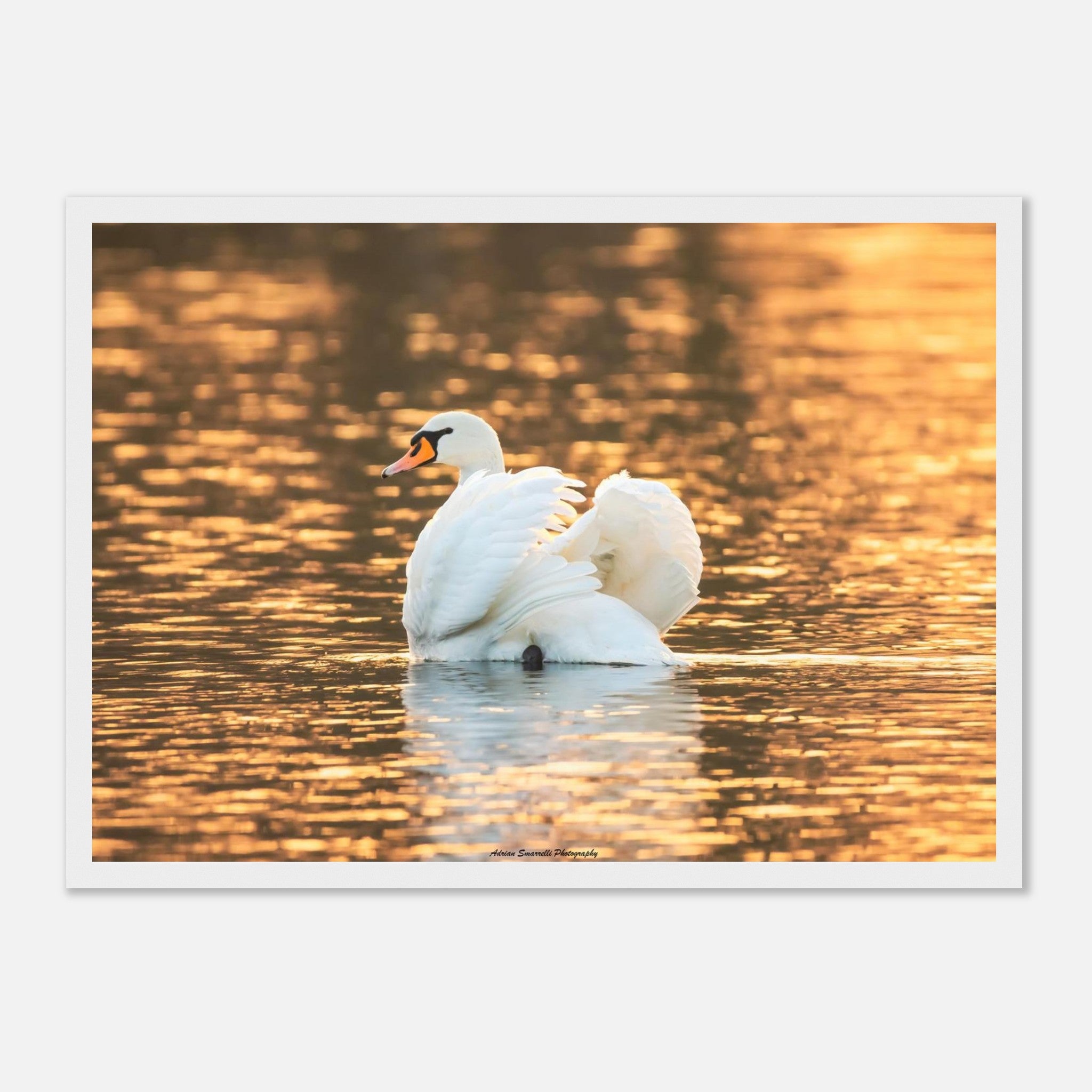 53b2ed2f-8dd9-49fa-b37b-a9e68540b876