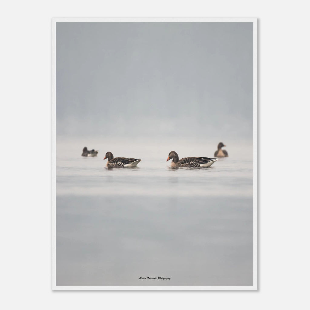 53debf33-b06a-46d9-a12d-144bfc541344