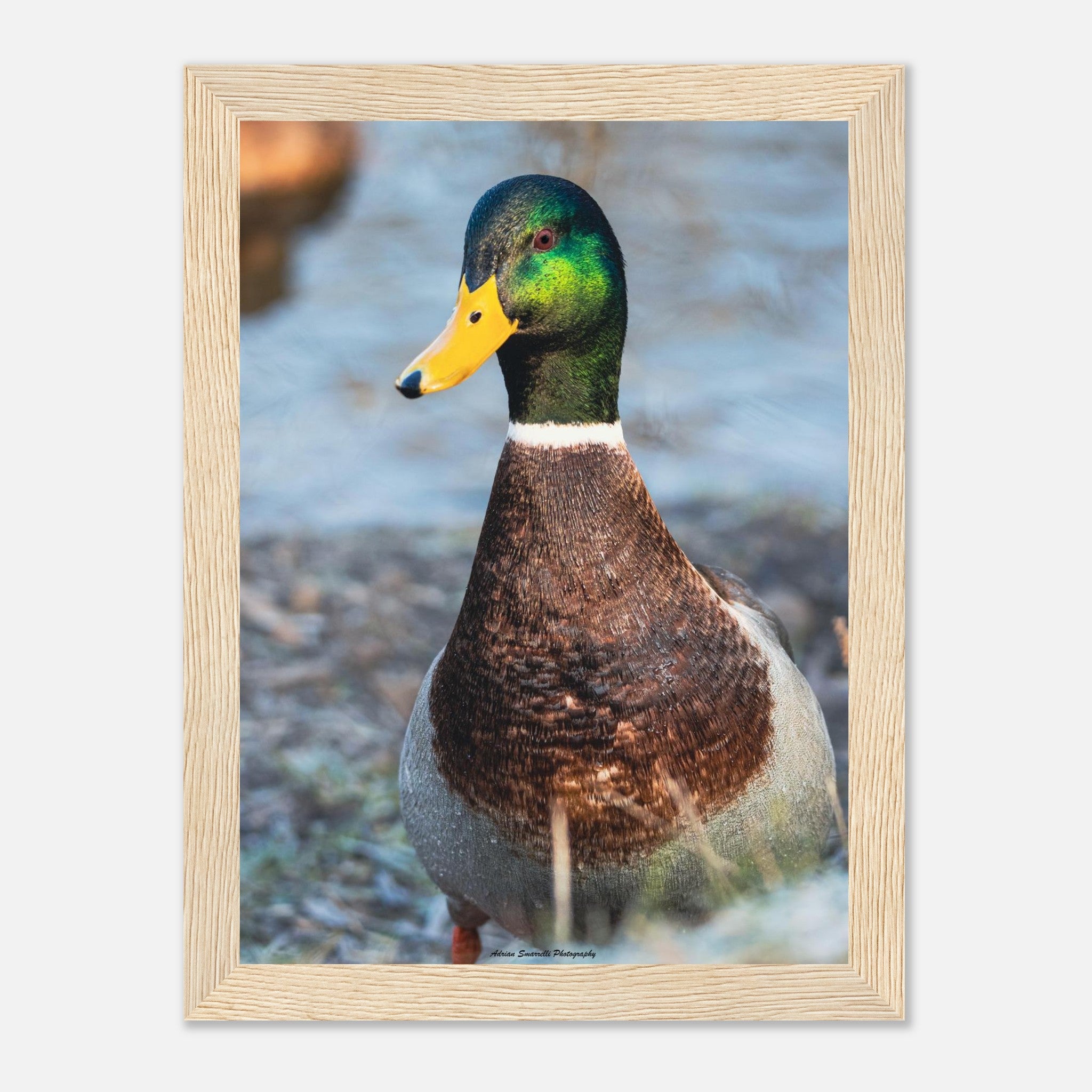 549d5874-2325-4ff8-9814-b77498a208d0