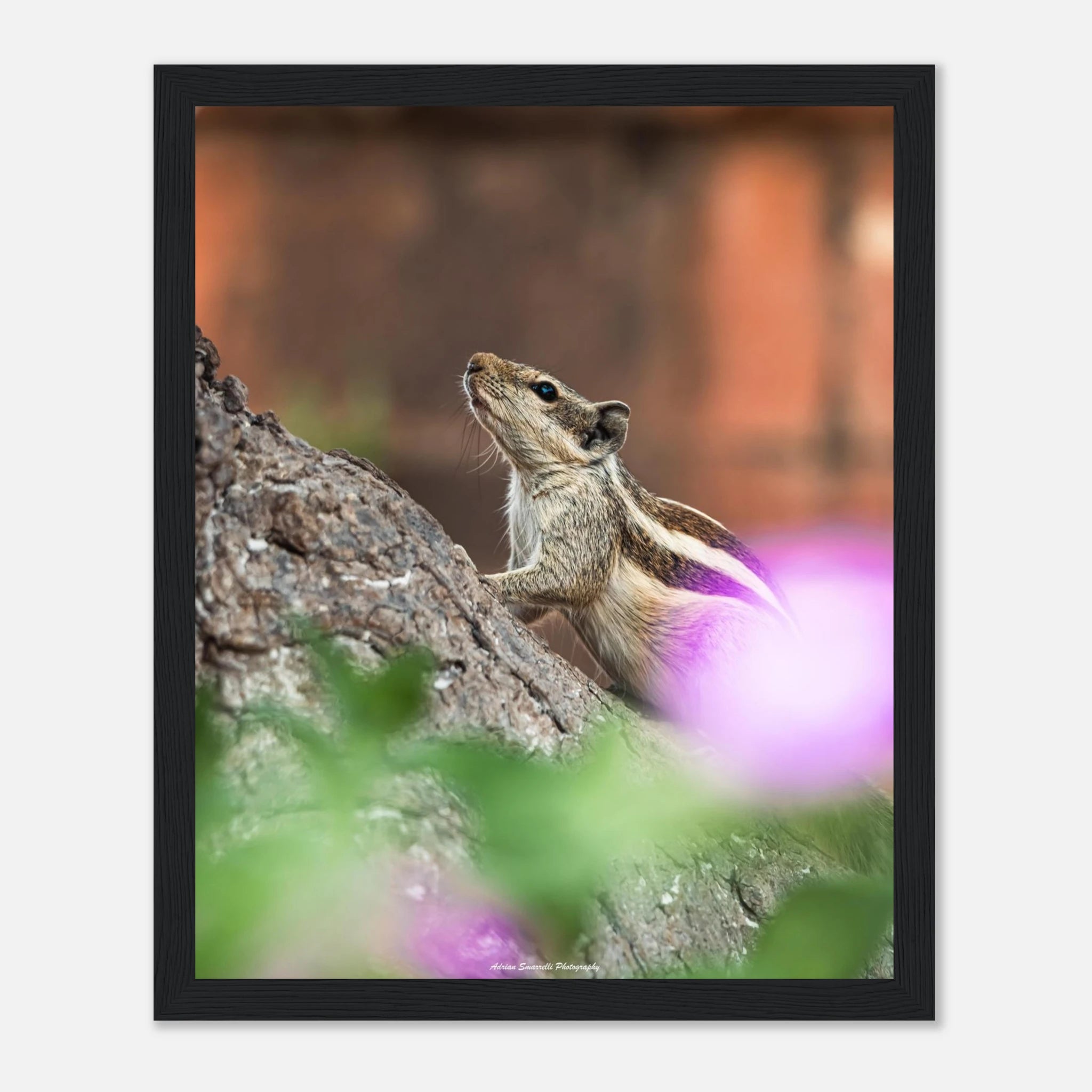 5a828a21-9816-44e1-ac82-cc052b534991