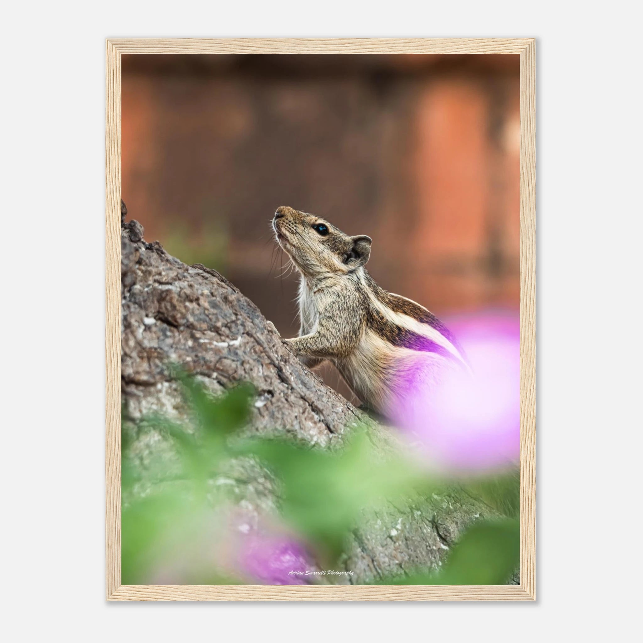 5aa253c6-18fc-45a0-a53e-84d81b17e77f