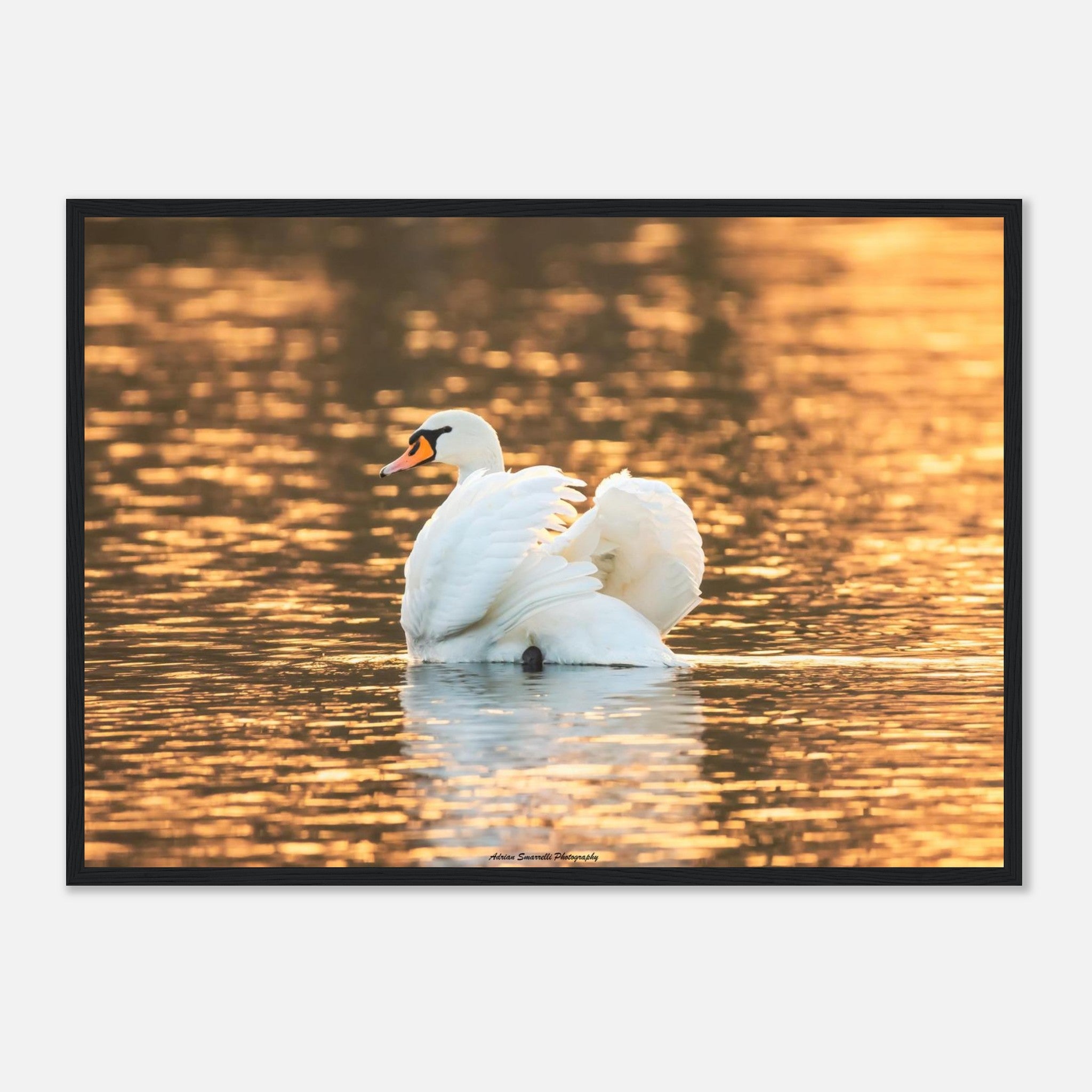 5ab51f31-ae67-4b42-8612-f05d3e293997