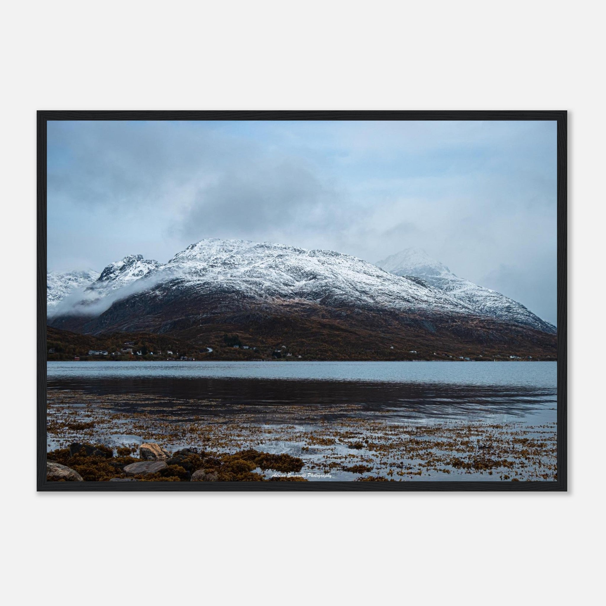 5abc4509-f2d8-4d00-a37a-63ff3adfc450