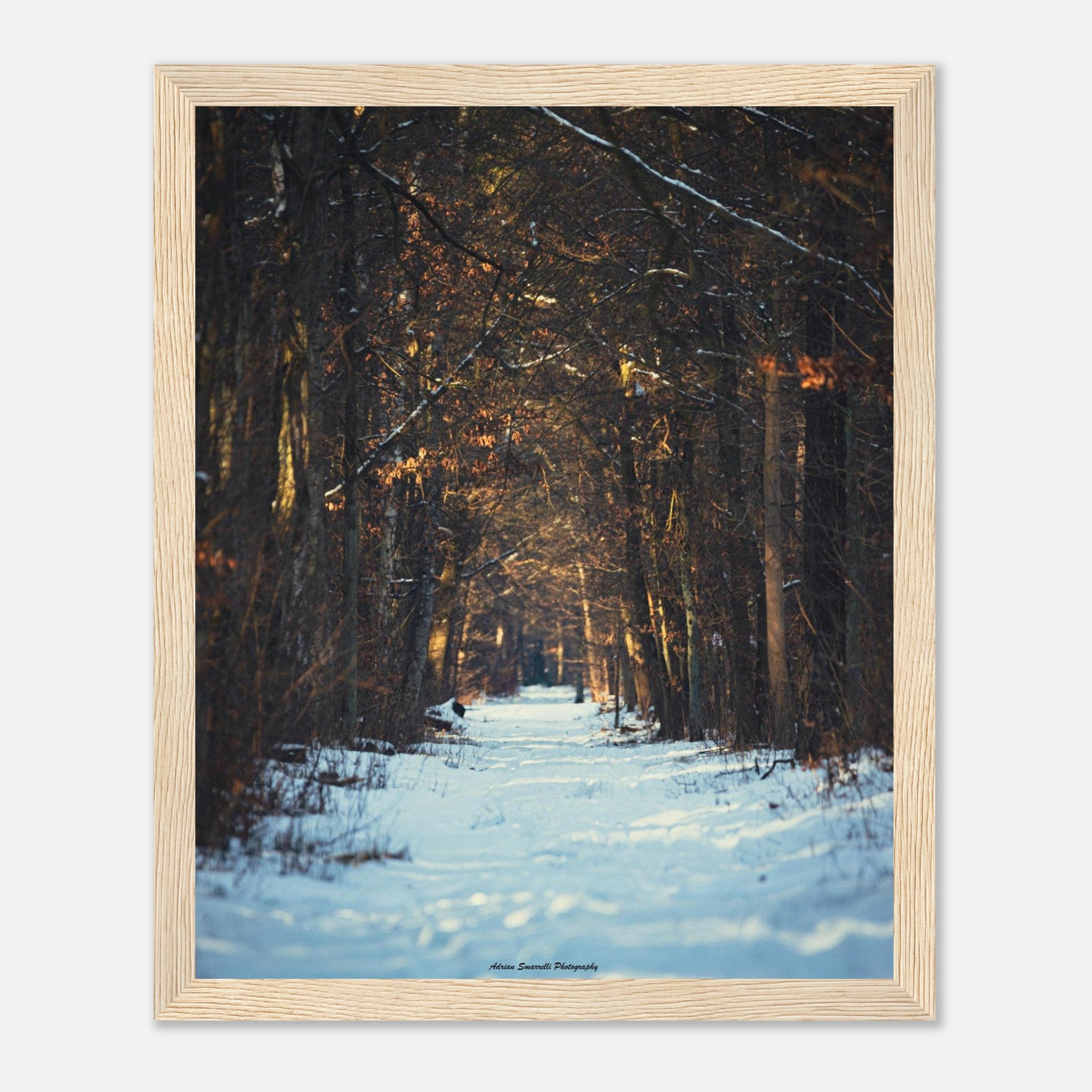 5b833467-db30-441f-b4de-2fb59a324ae5