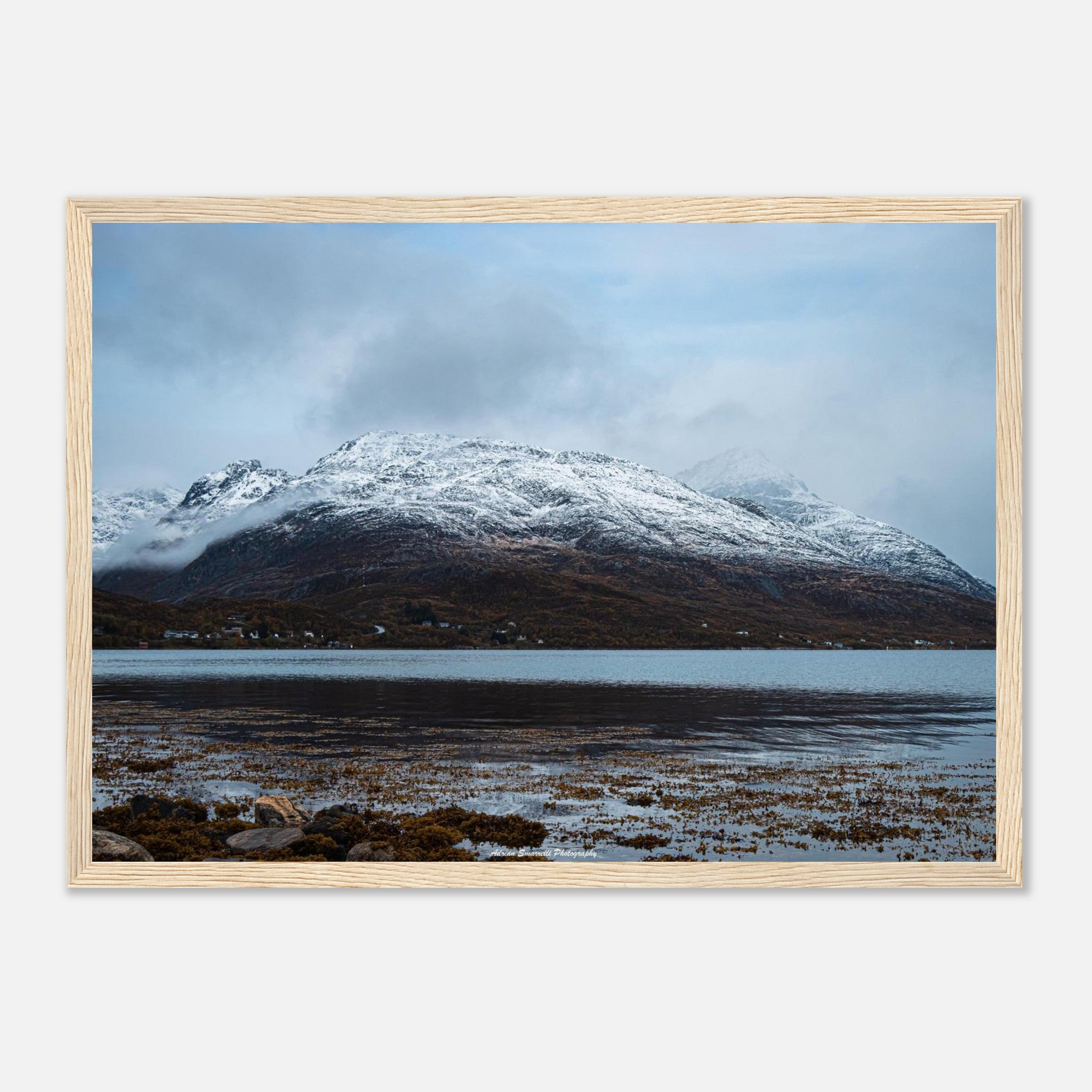 5cc109b3-dba4-49de-a7d2-07b2bf1df3c3