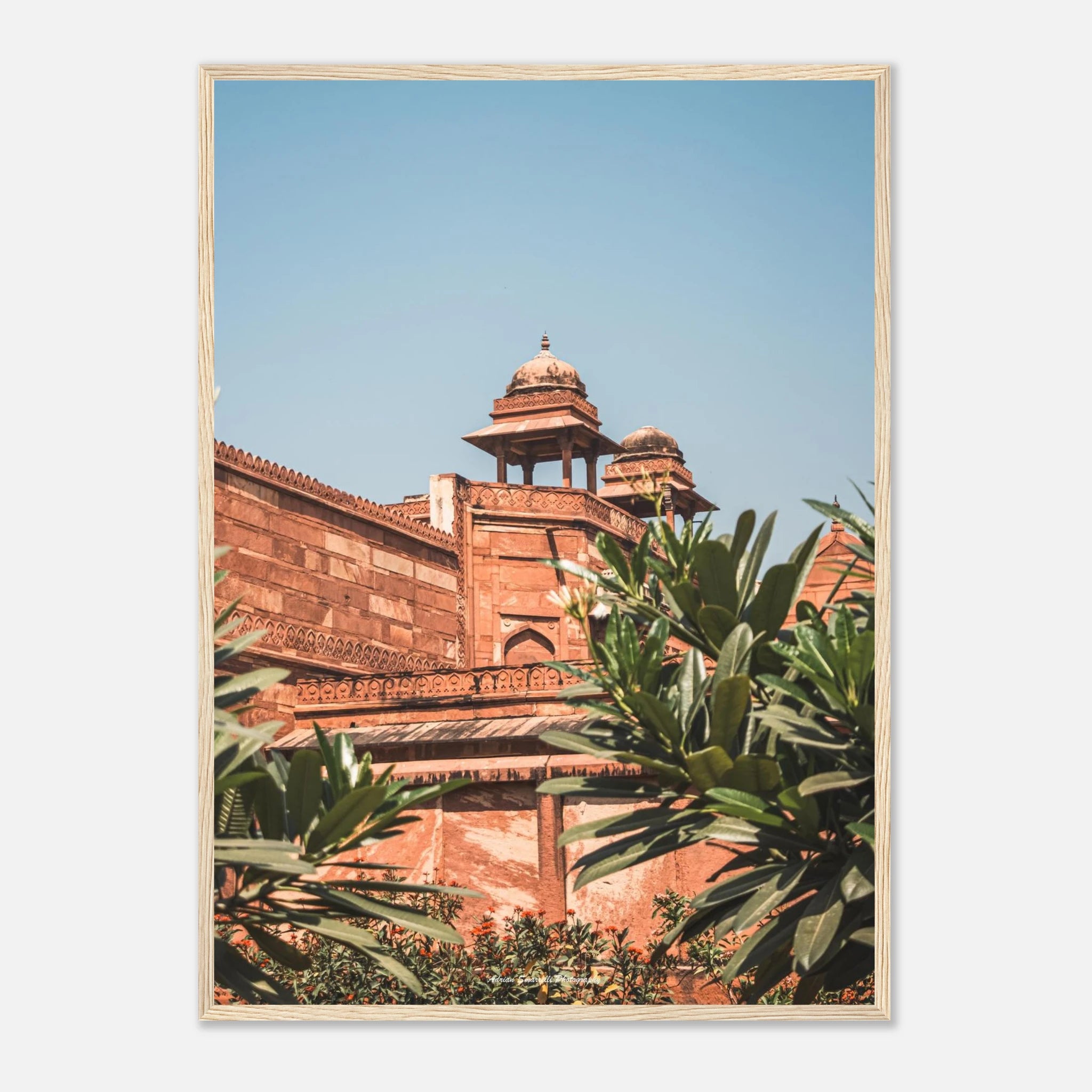 5d075d89-13a0-4b3f-a542-ba2fa35d2da8