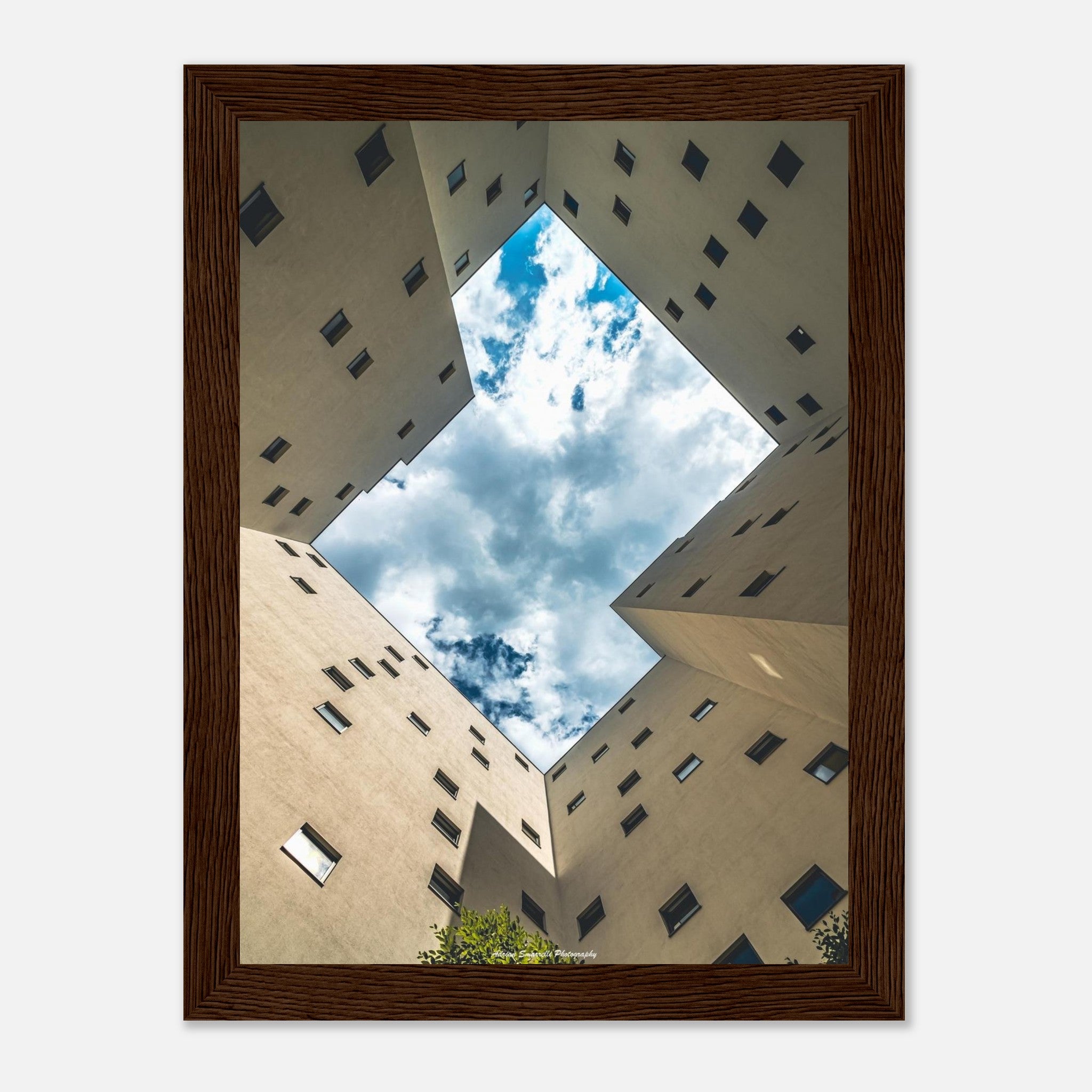 5d422b0e-5779-4735-aa95-71d751d1763f