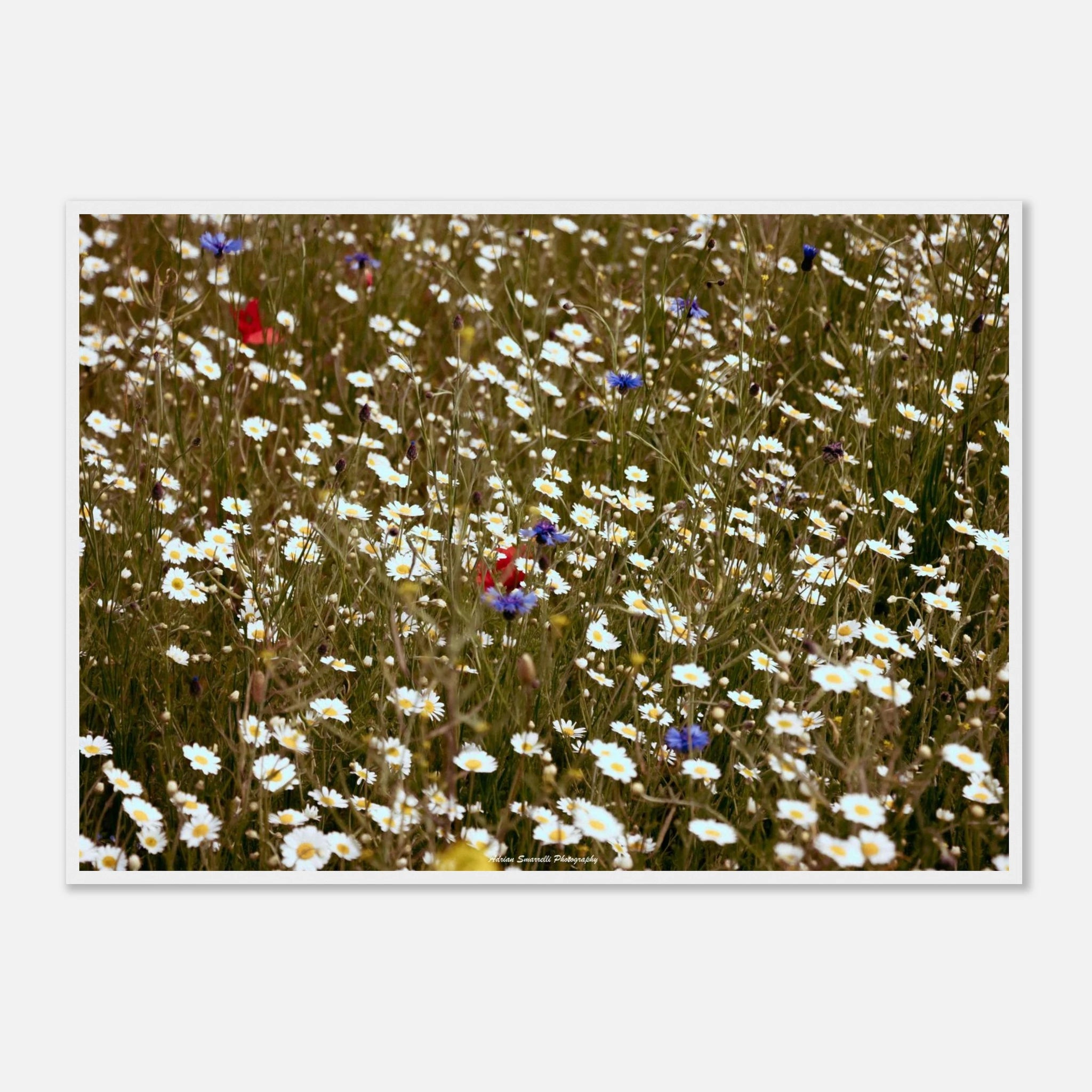 5d637dfb-72dc-4c55-8a2e-37f36670a906