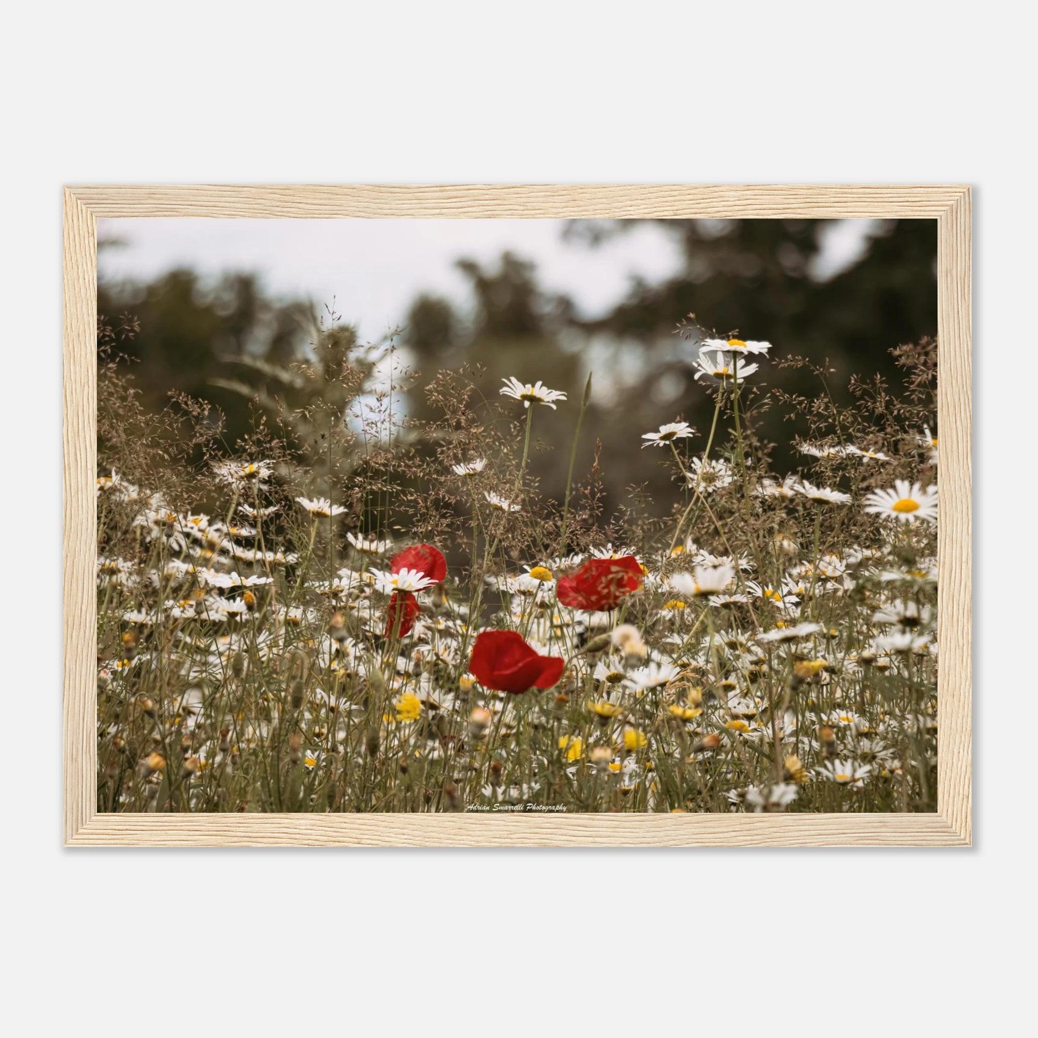 5d893134-874e-4920-83ad-29419518b5c6