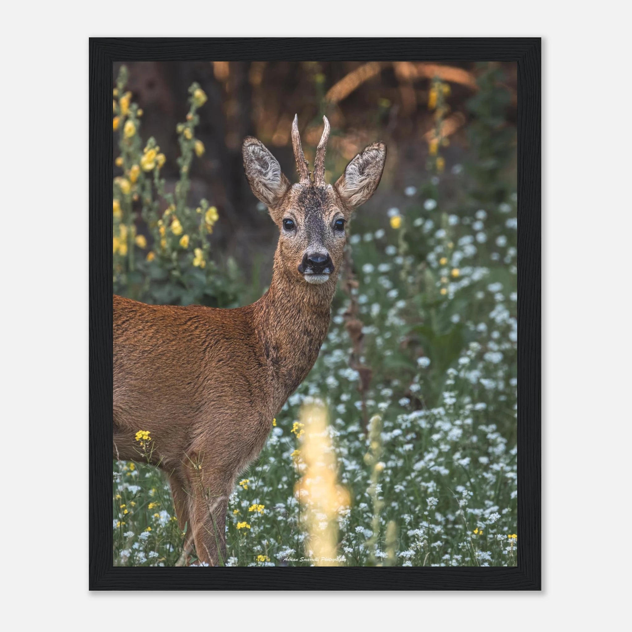 5dac0bb4-a35e-42e4-8766-63f13d80d750