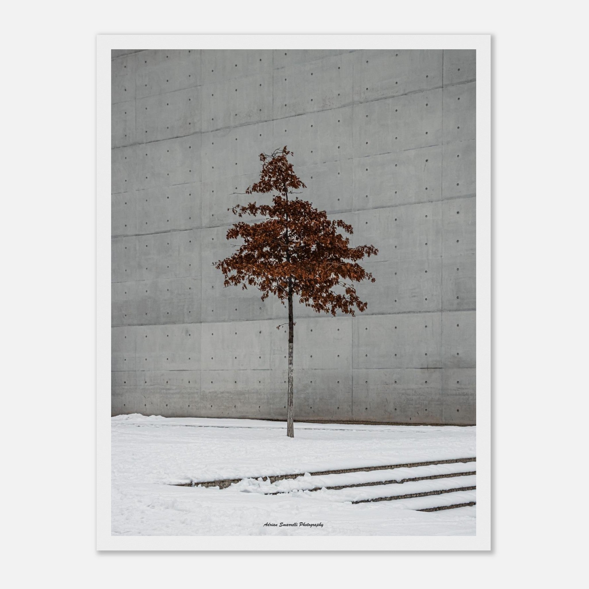 5dda07da-689e-49ac-933d-1e3439352da5