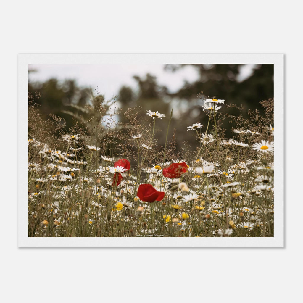 5e7dc766-4e7e-42e1-ba17-dbd63f810ac1