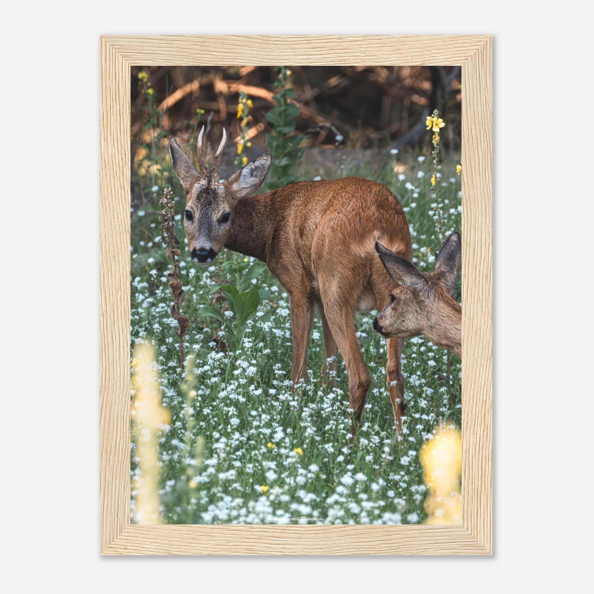 5f036016-ce99-43d9-8ac0-d9edd4610acd