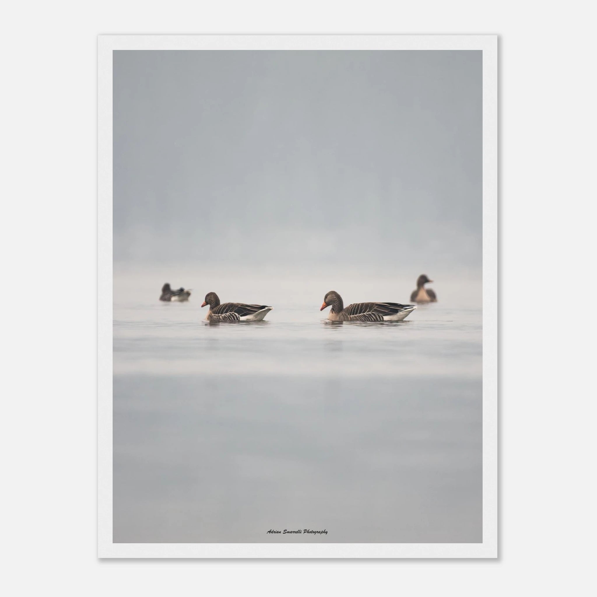 5fb9138a-cbf9-4e9a-ba02-ca965034cf83