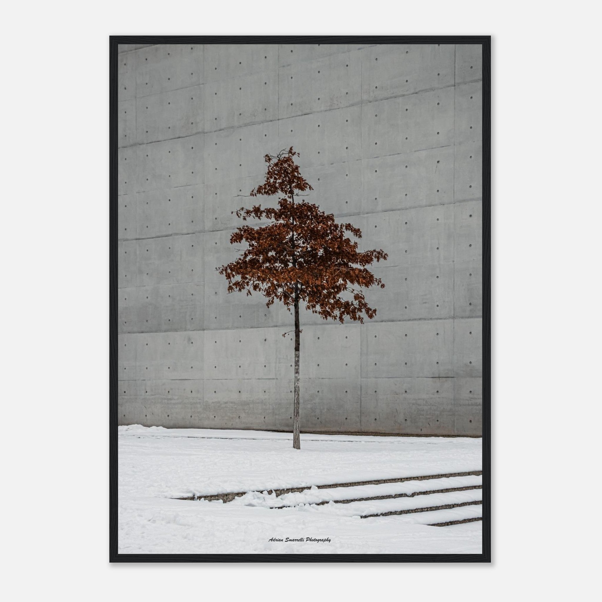 5fef6917-1e55-492a-9458-74cc8d87f843