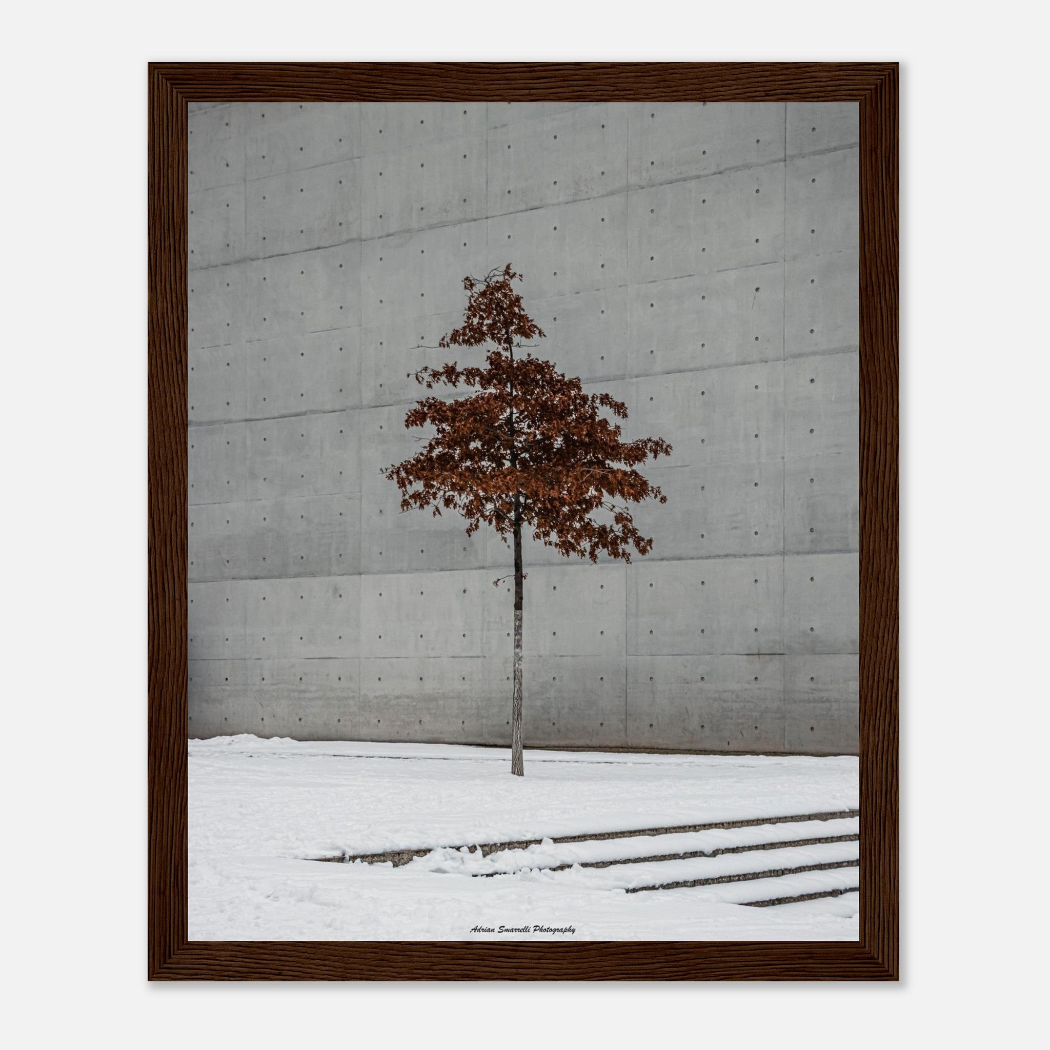 5ffd7b96-2f6d-41d7-8efd-f8cfd3fe3fef