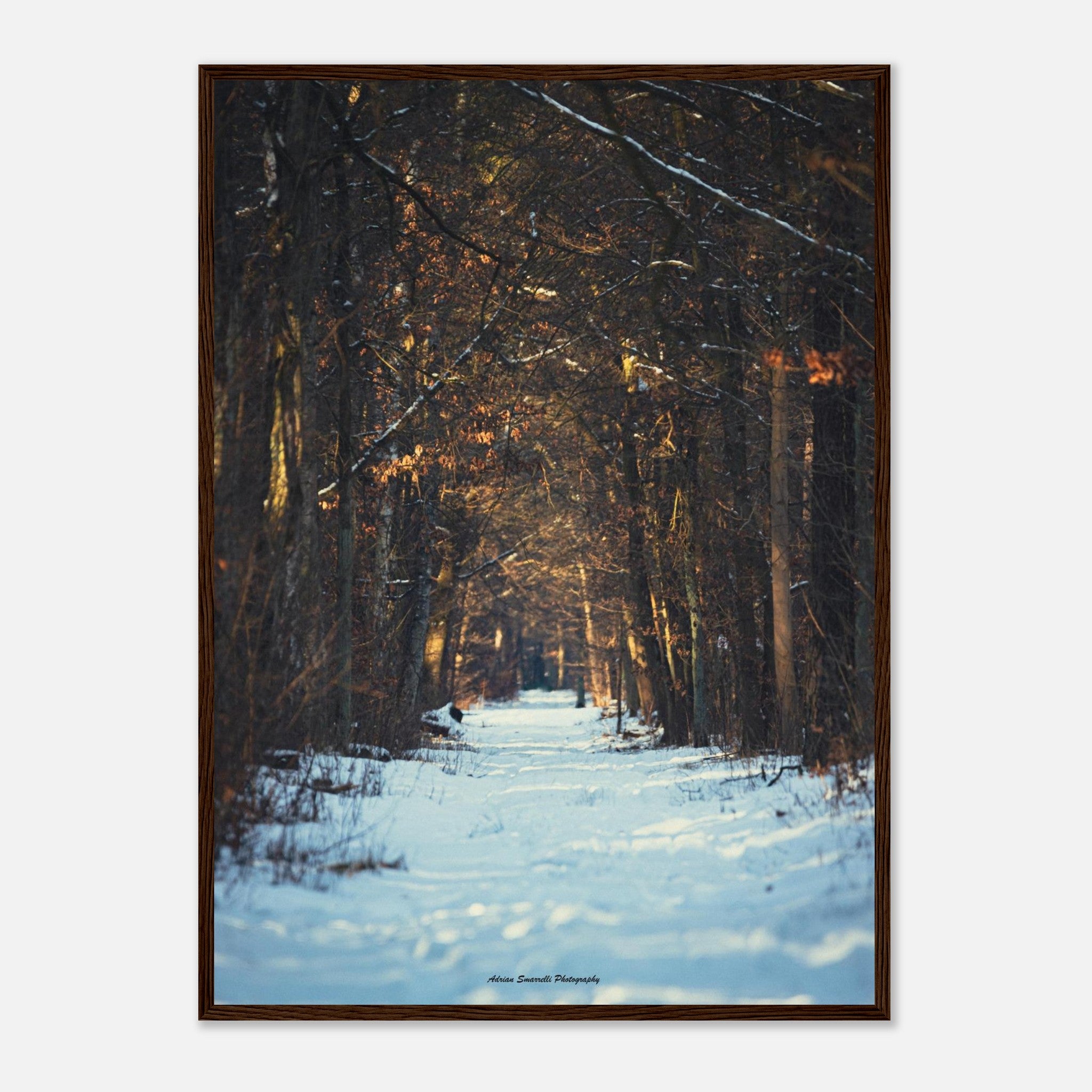 60b74678-56a8-4ced-b0d8-8e02f6ce2d81