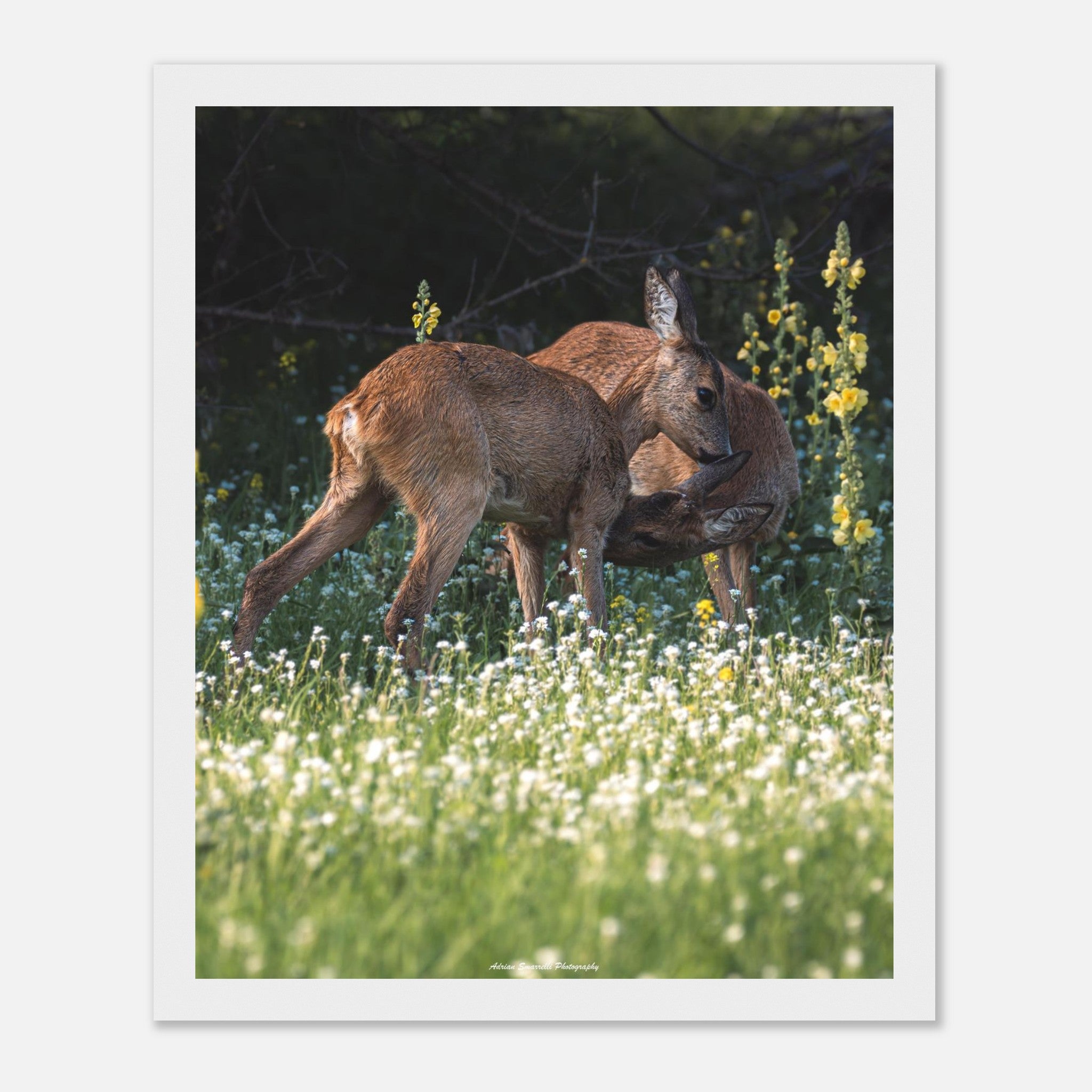 62ee51c4-d7e5-48de-88d9-355f50f90389