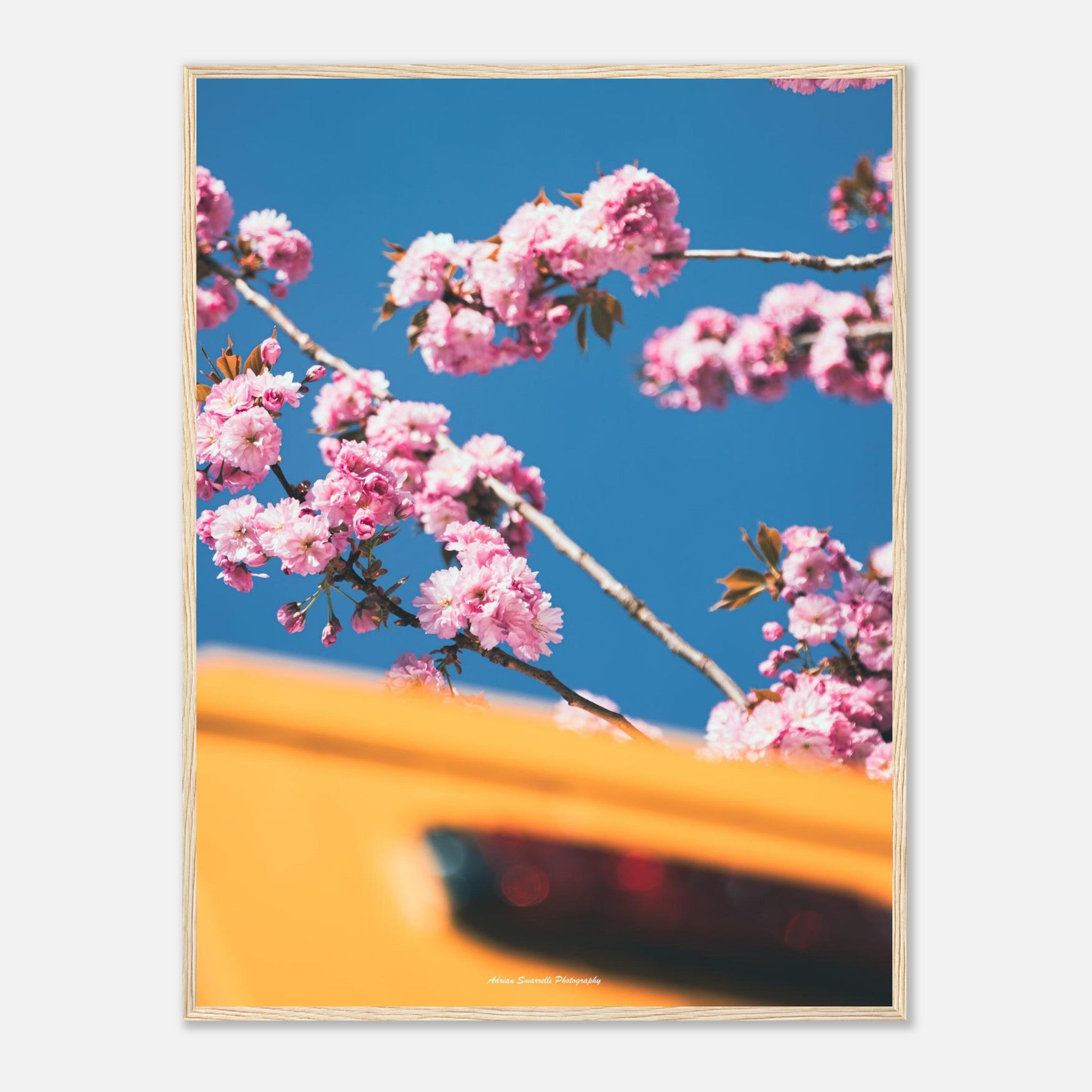 630c19dc-1c6b-4286-92f7-4f96bc308783
