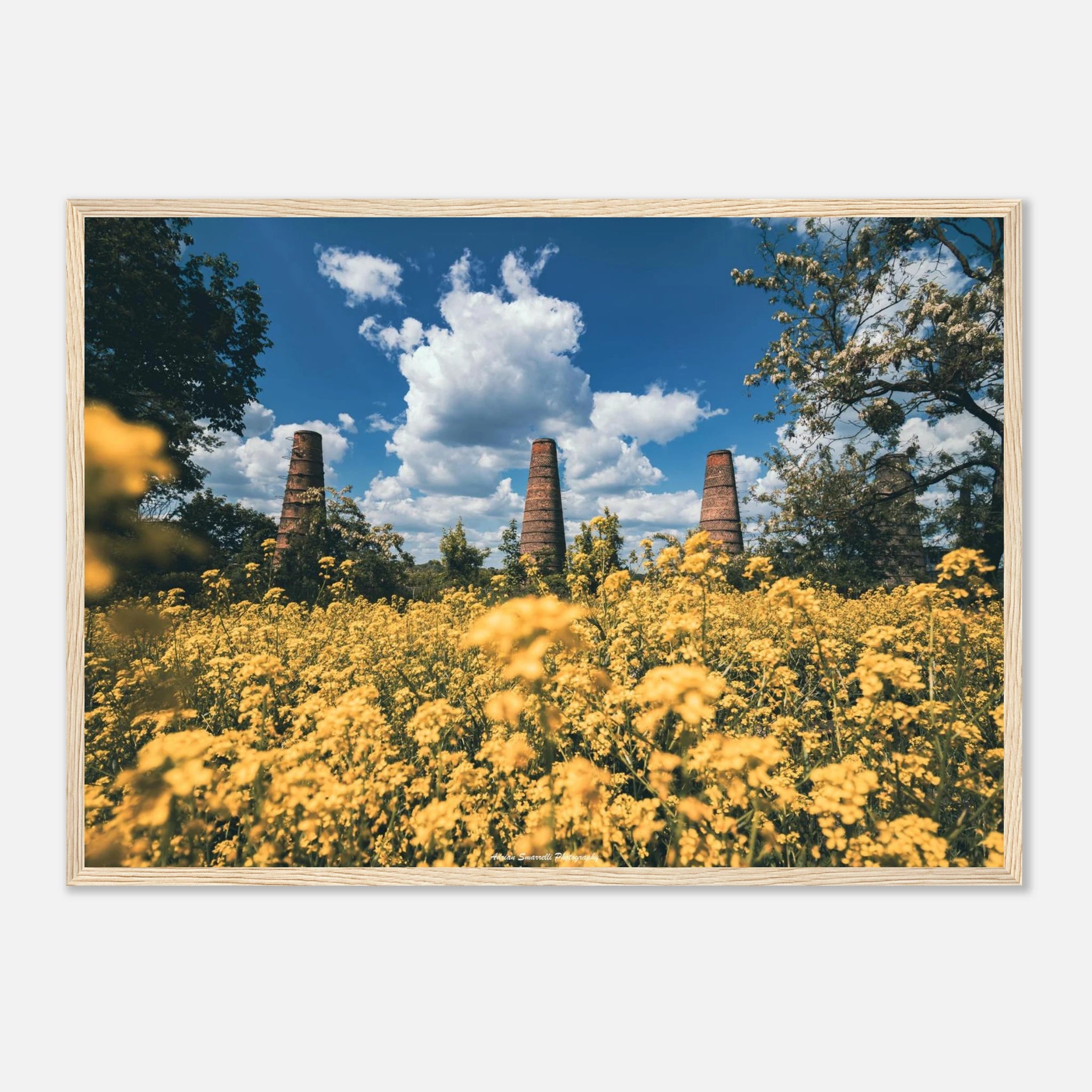 64c43515-0247-4f78-bdad-e593a9235046