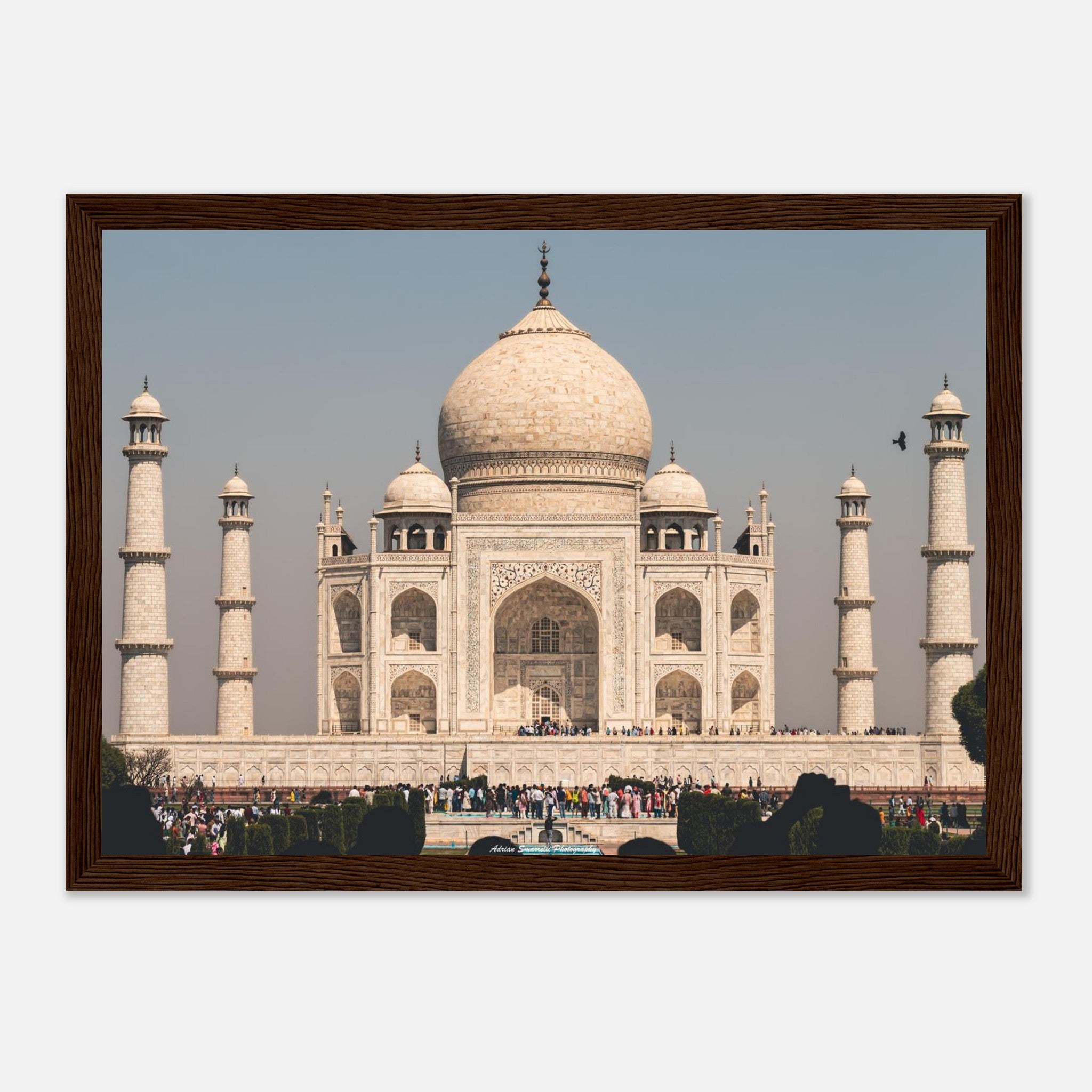 64d61444-bc0e-4c37-8bd0-711a2a6cc95c